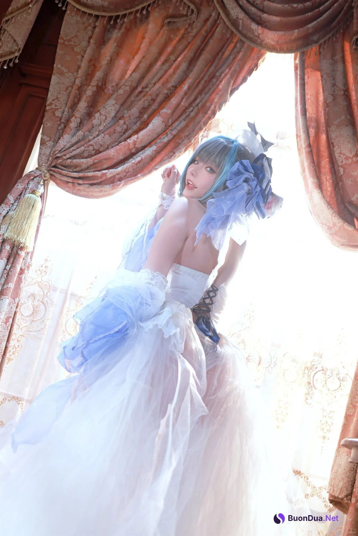 Cosplay 起司块wii 柴郡礼服 - Photo 4