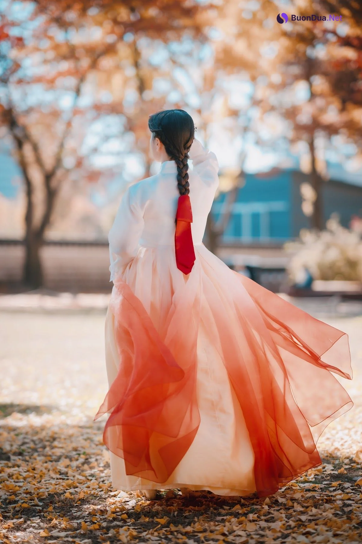 DJAWA Photo – ZziZzi – Chuseok - รูปภาพ 13