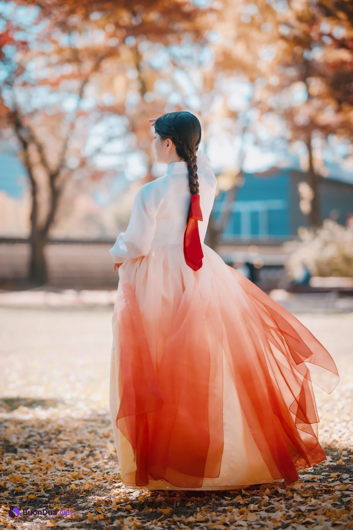 DJAWA Photo – ZziZzi – Chuseok - รูปภาพ 14