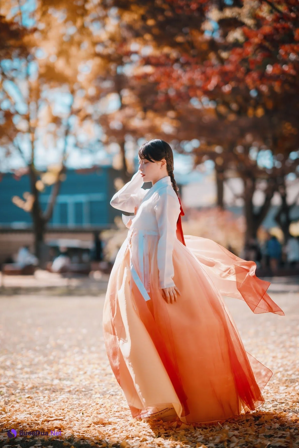 DJAWA Photo – ZziZzi – Chuseok - รูปภาพ 16