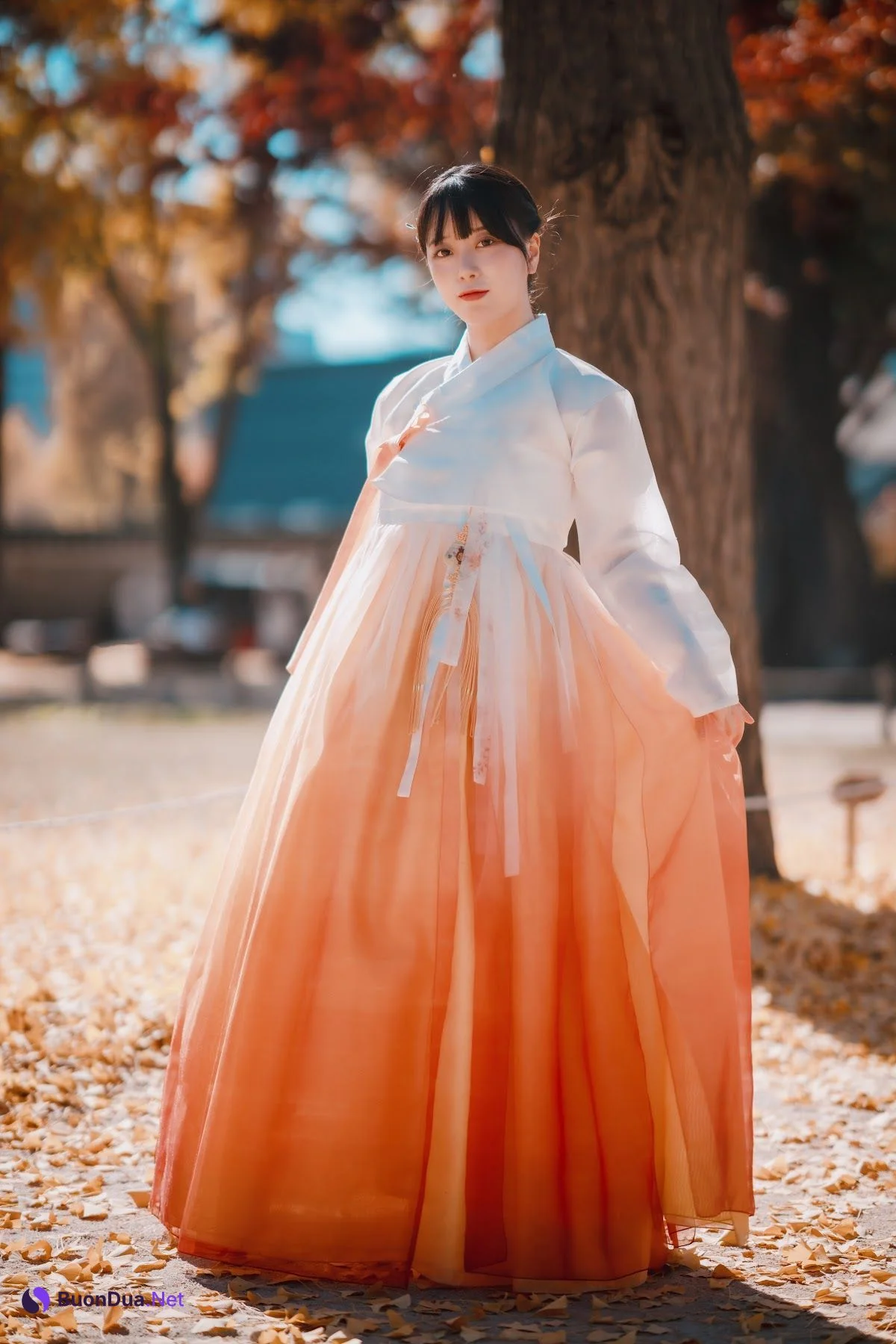 DJAWA Photo – ZziZzi – Chuseok - รูปภาพ 20