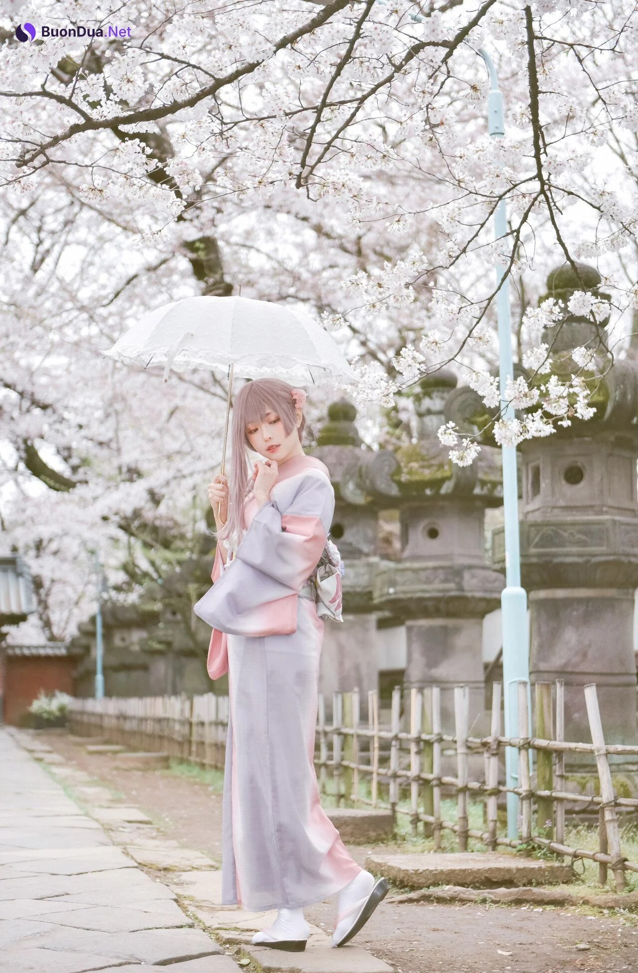 [Ely] Sakura桜 2021 Kimono Girl Ver. - Photo 12
