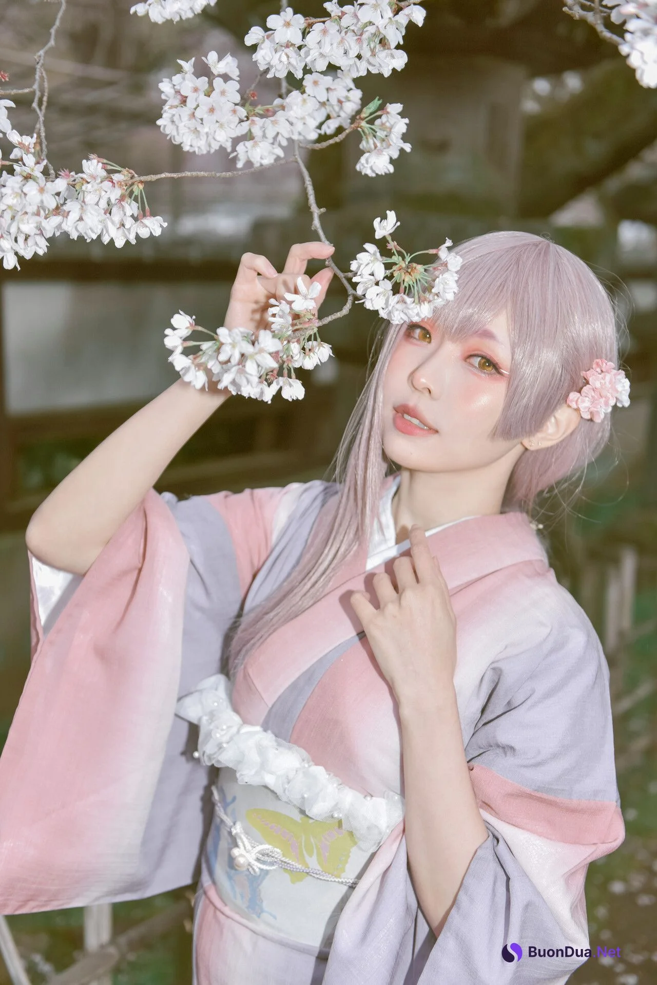 [Ely] Sakura桜 2021 Kimono Girl Ver. - Photo 17