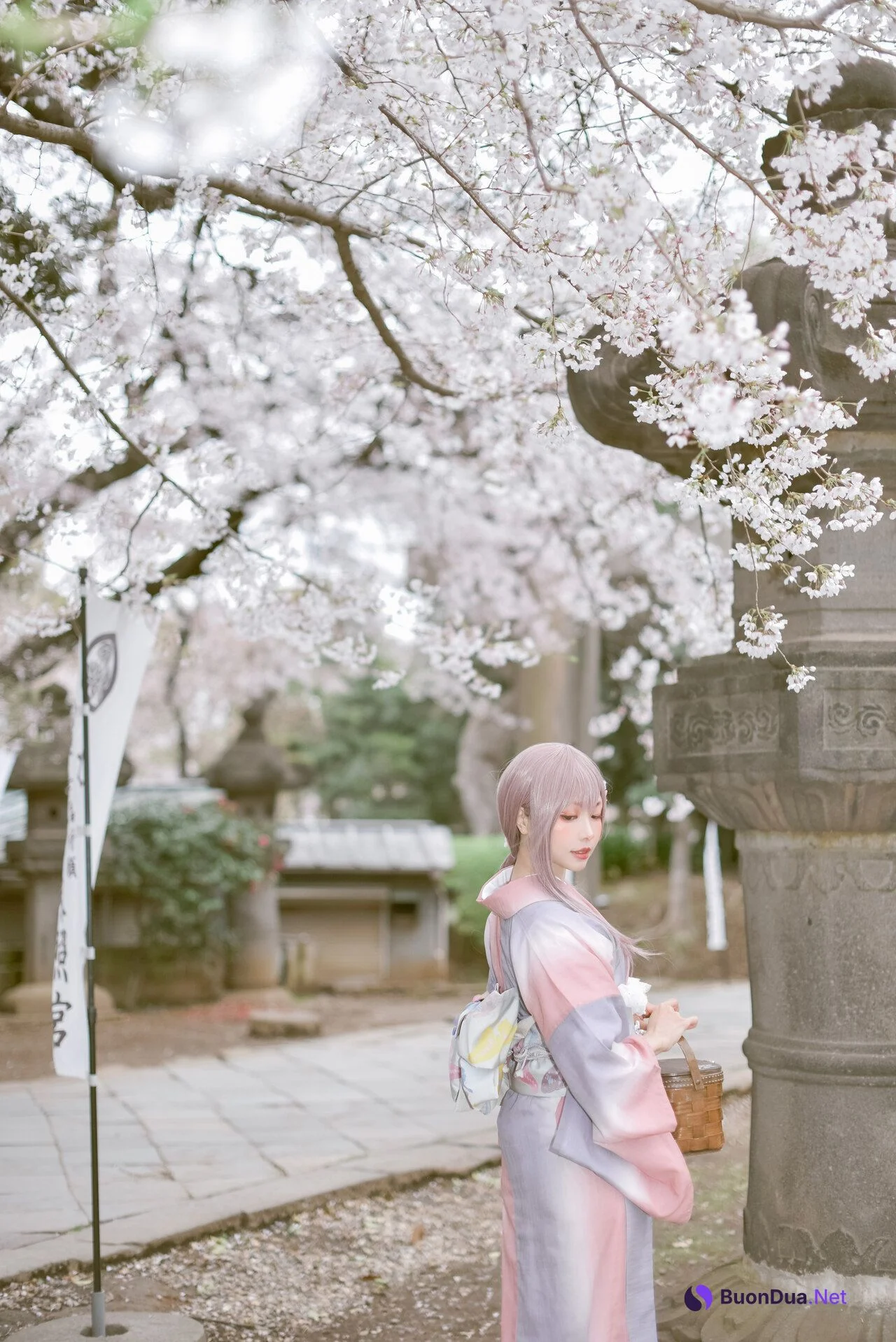 [Ely] Sakura桜 2021 Kimono Girl Ver. - Photo 3