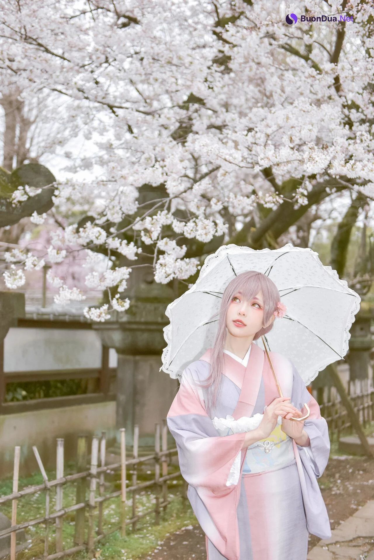[Ely] Sakura桜 2021 Kimono Girl Ver. - Photo 6
