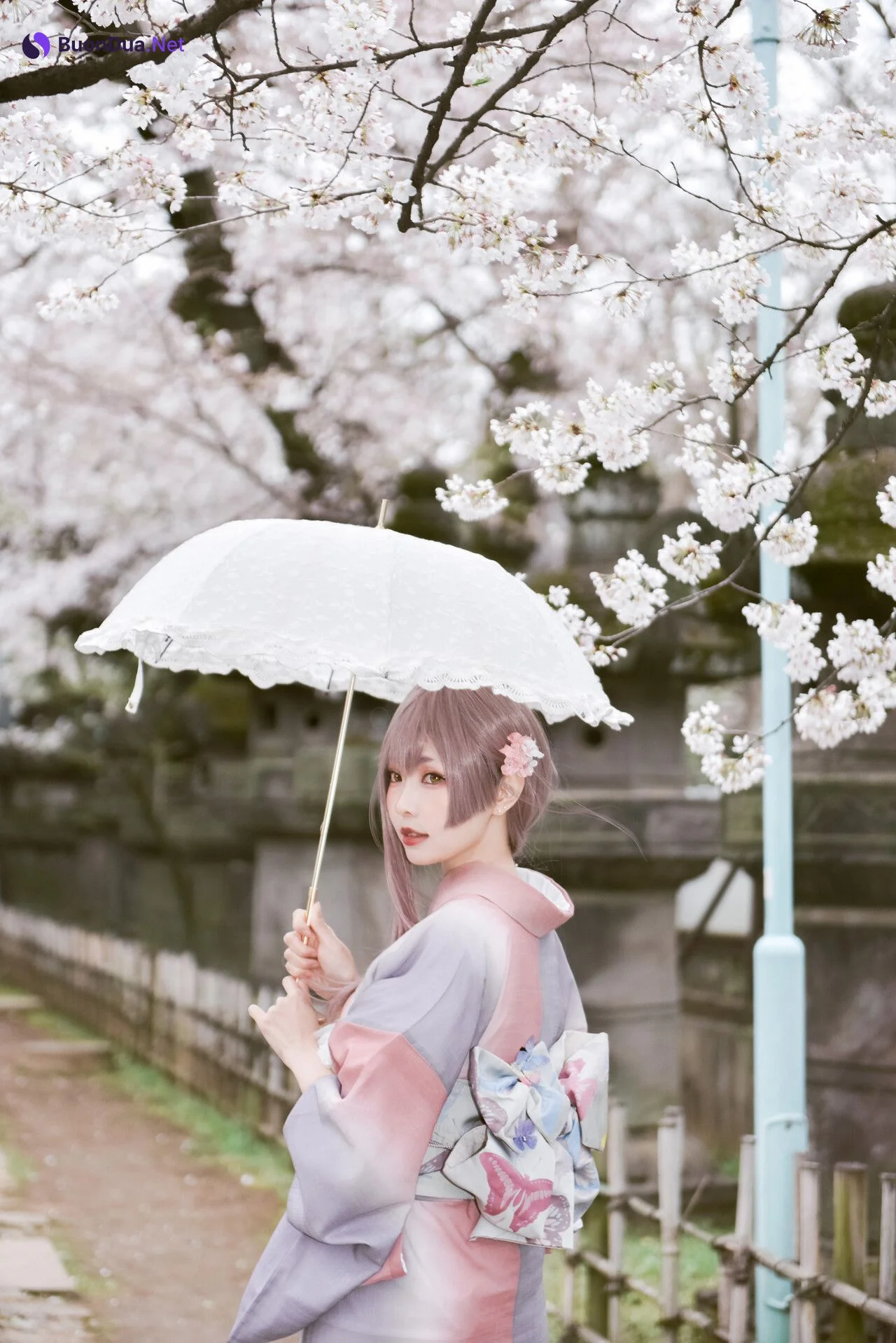 [Ely] Sakura桜 2021 Kimono Girl Ver. - Photo 8