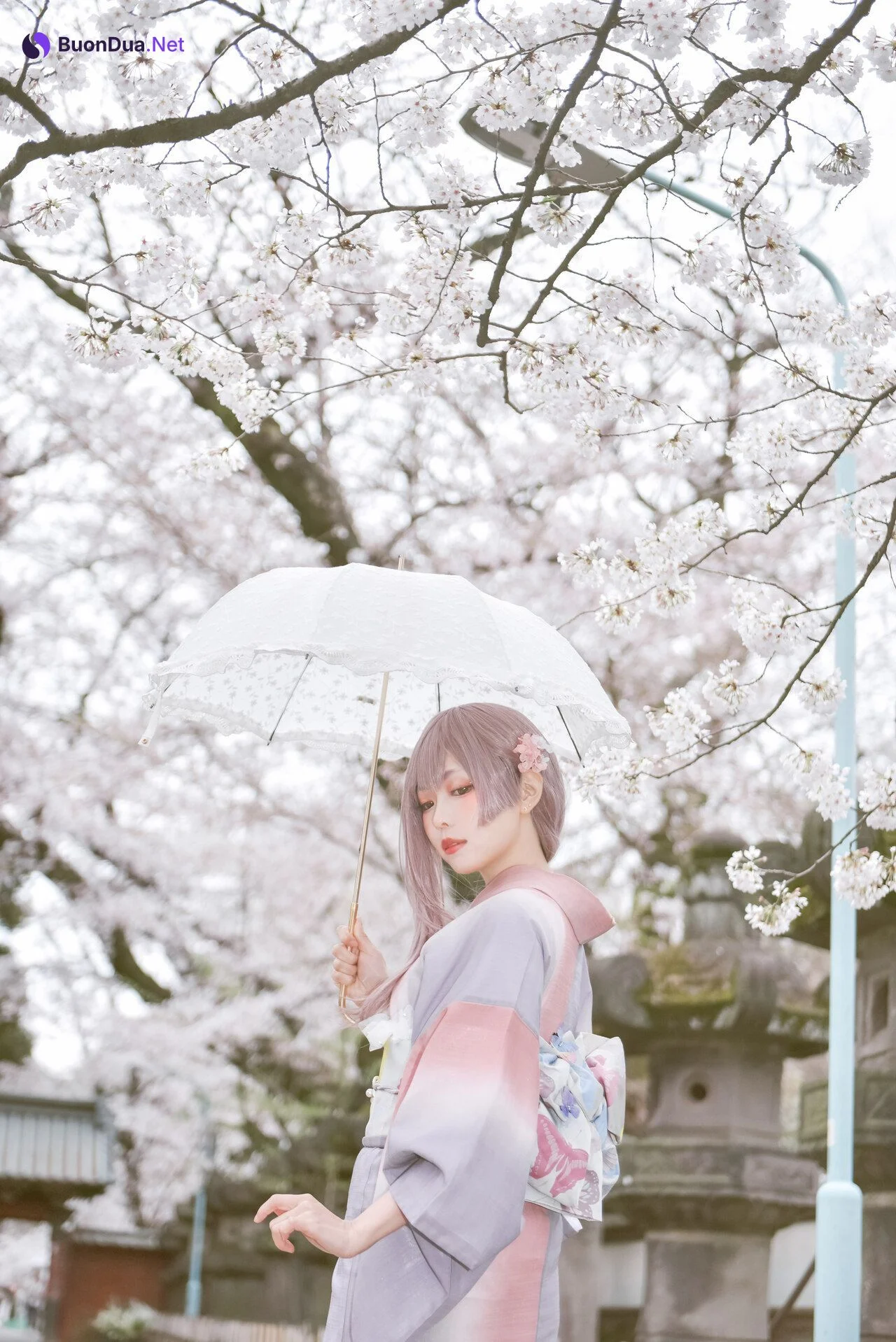 [Ely] Sakura桜 2021 Kimono Girl Ver. - Photo 9