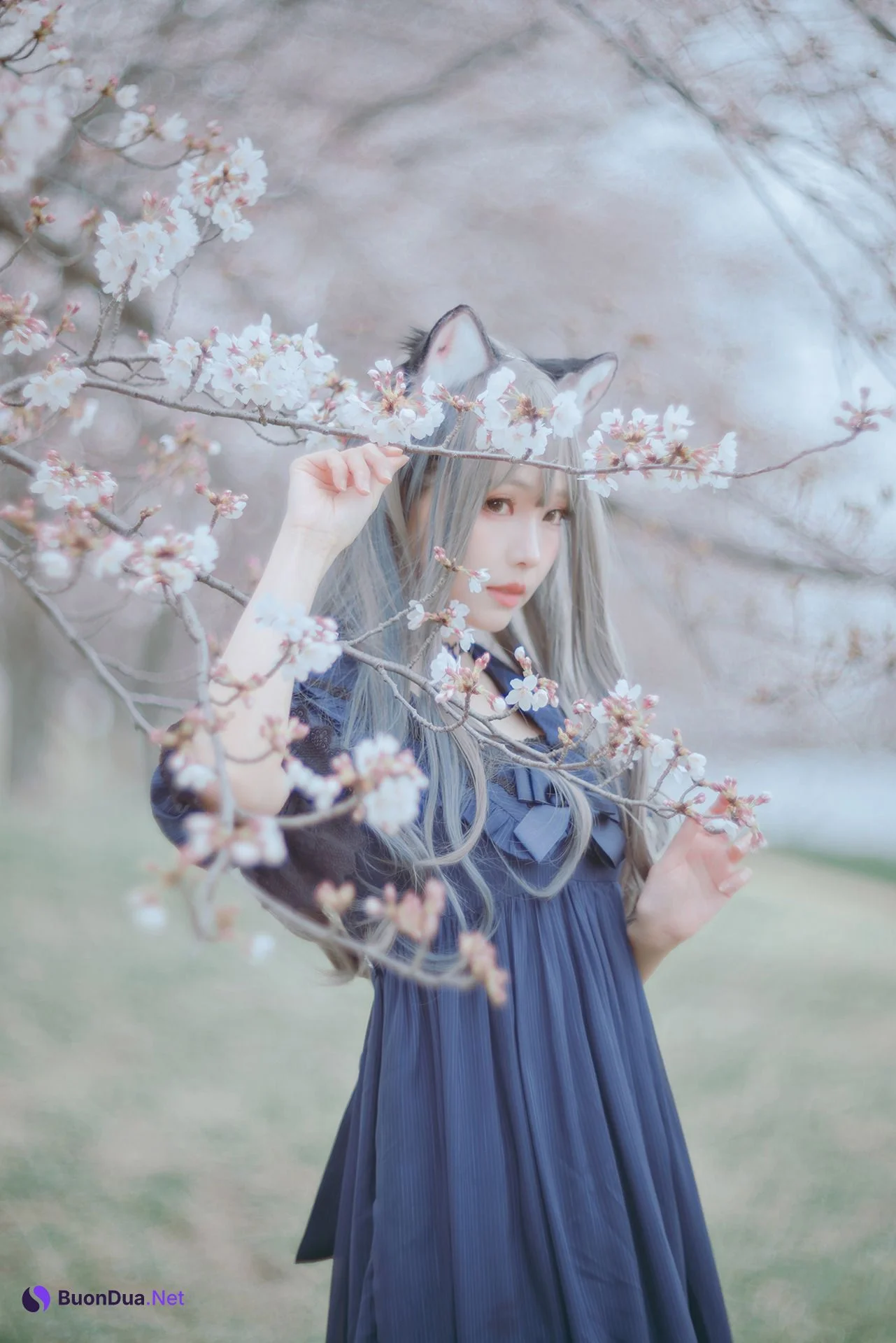 [Ely] Sakura桜 2021 Nekomimi Ver. - รูปภาพ 10