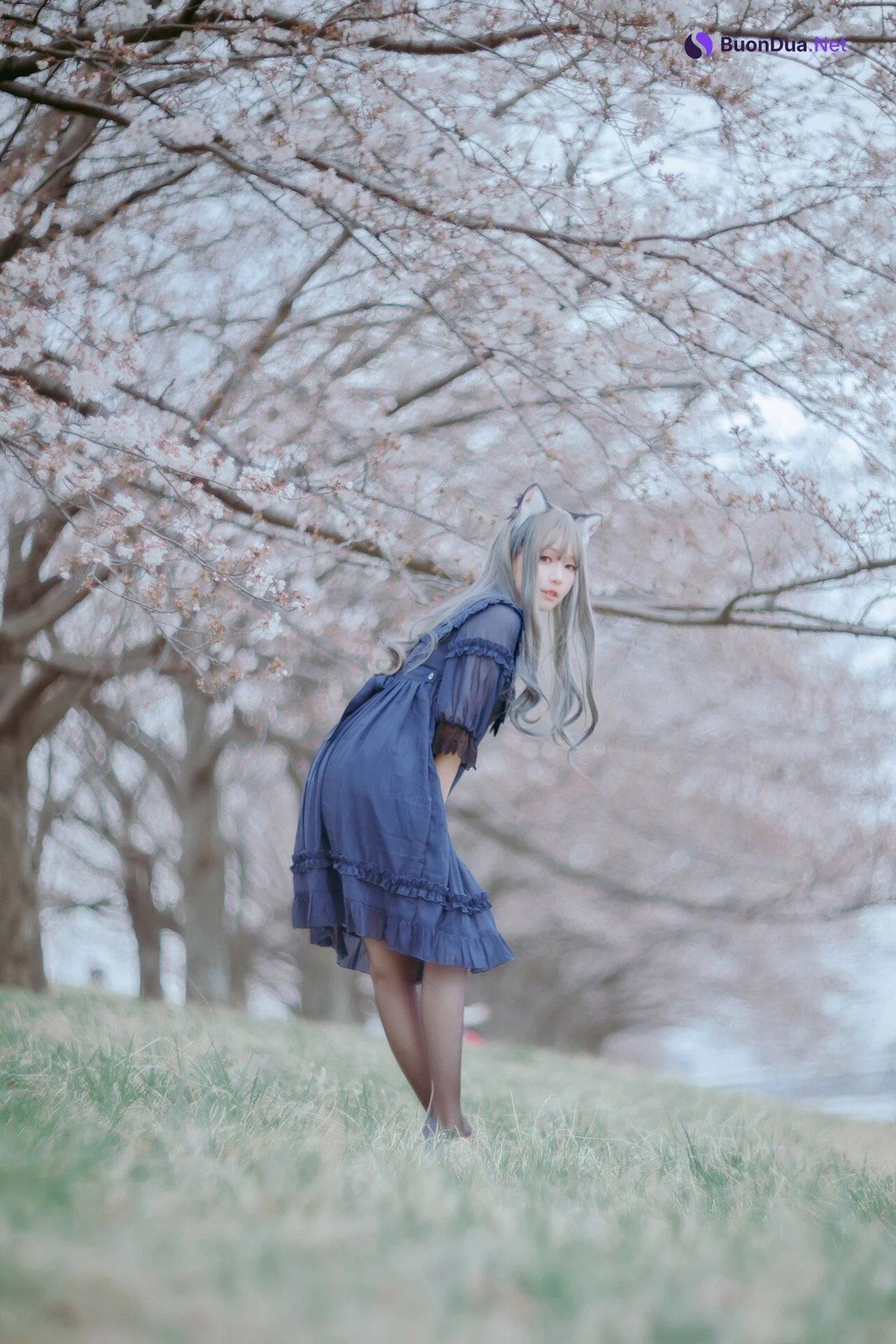 [Ely] Sakura桜 2021 Nekomimi Ver. - รูปภาพ 11