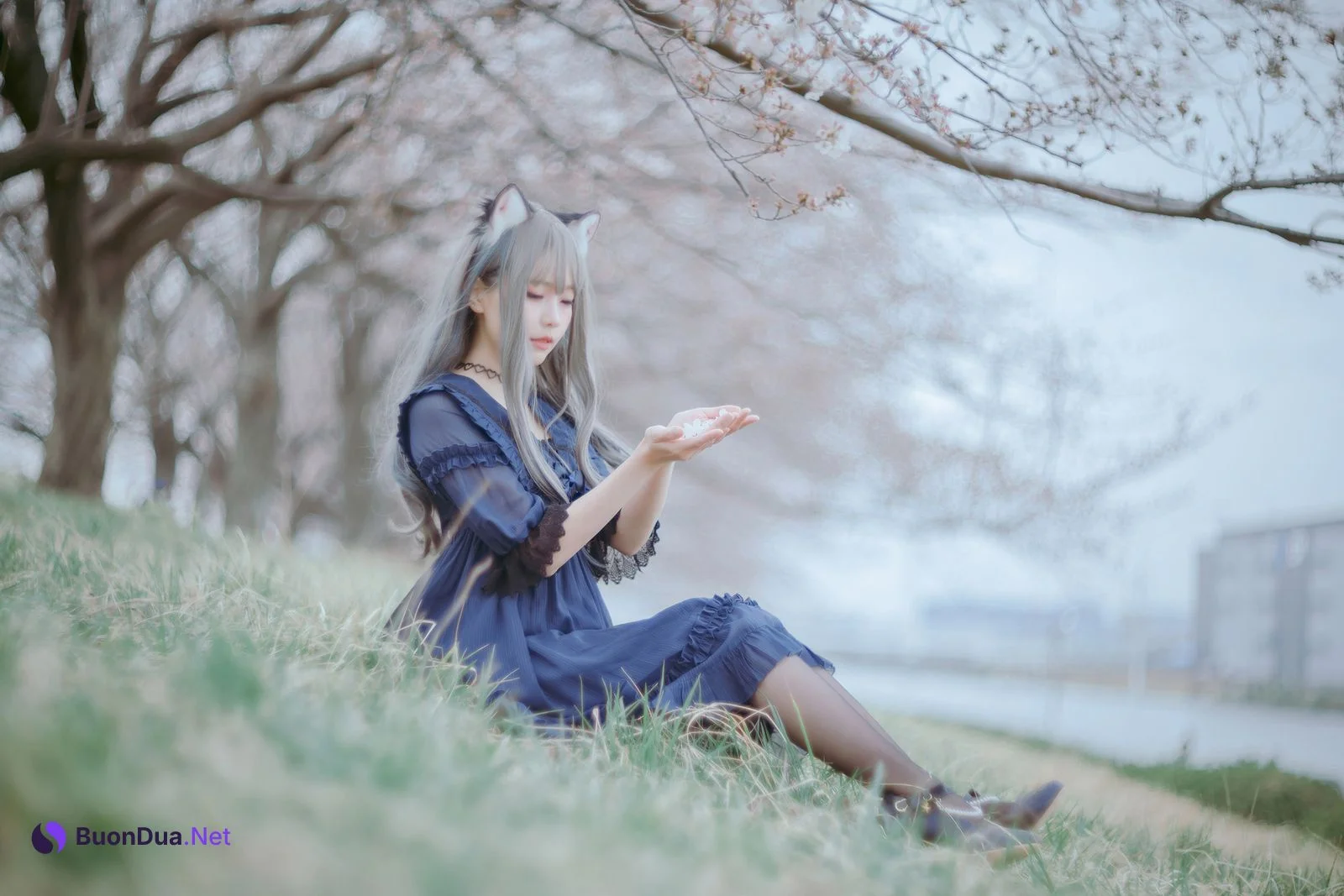 [Ely] Sakura桜 2021 Nekomimi Ver. - รูปภาพ 12