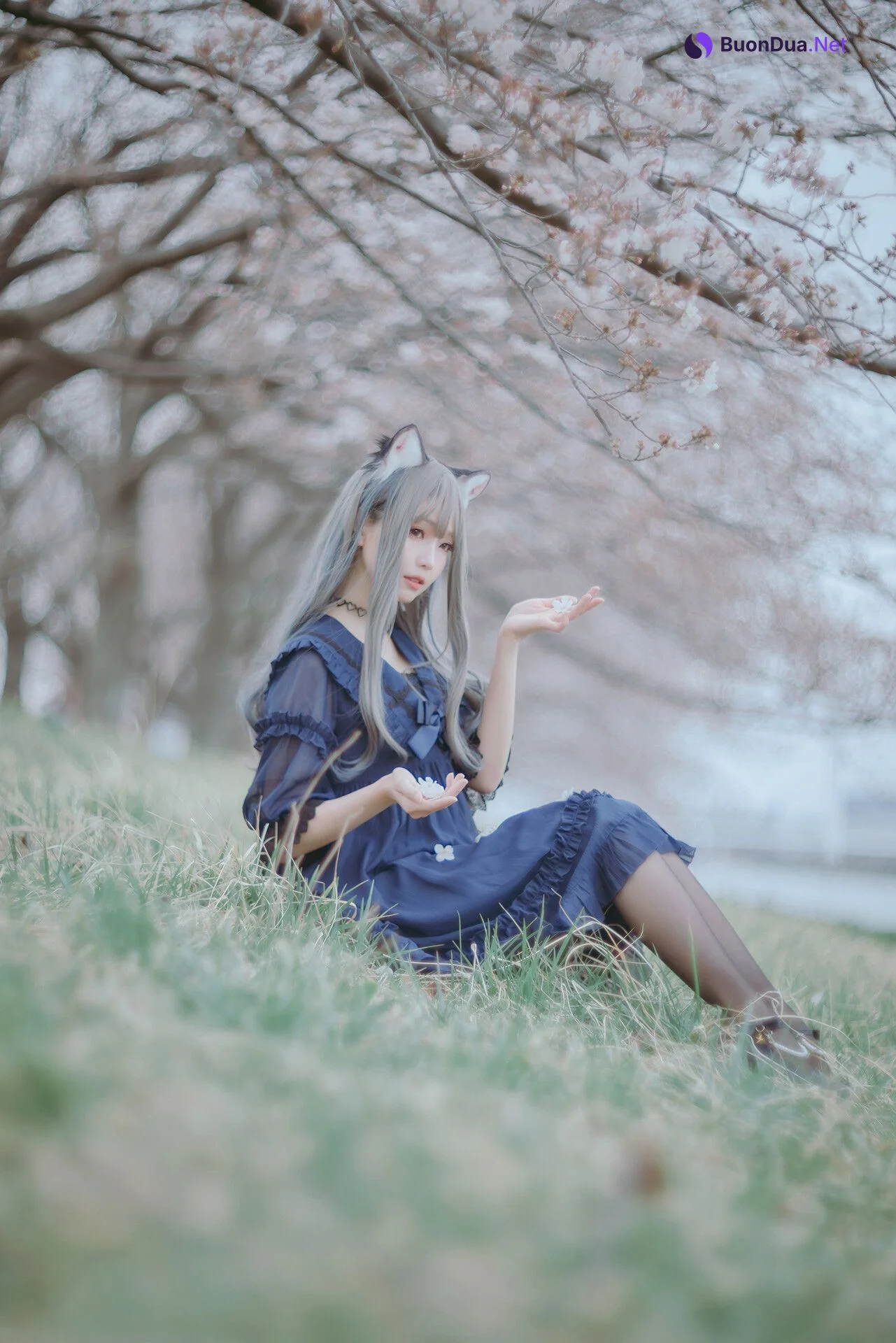 [Ely] Sakura桜 2021 Nekomimi Ver. - รูปภาพ 13