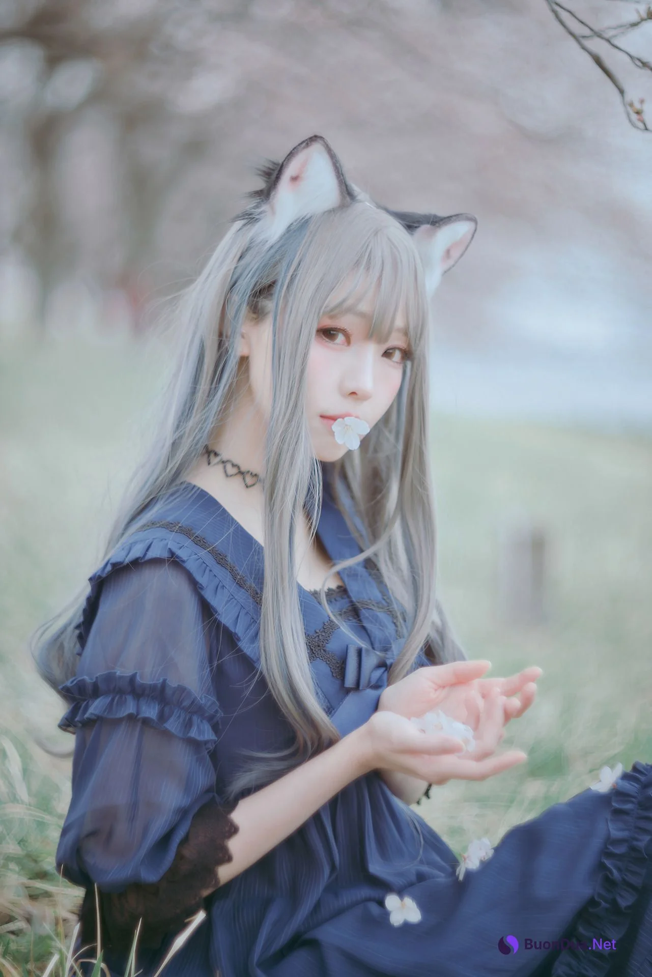 [Ely] Sakura桜 2021 Nekomimi Ver. - รูปภาพ 14