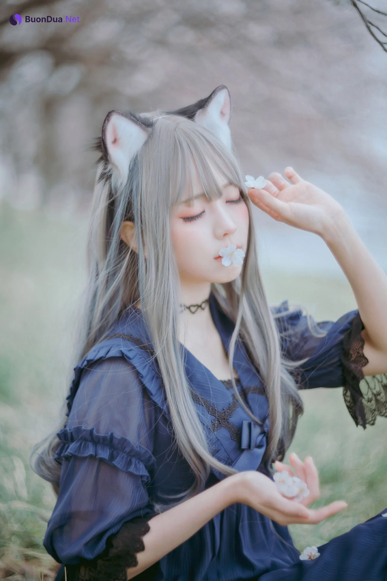 [Ely] Sakura桜 2021 Nekomimi Ver. - รูปภาพ 15