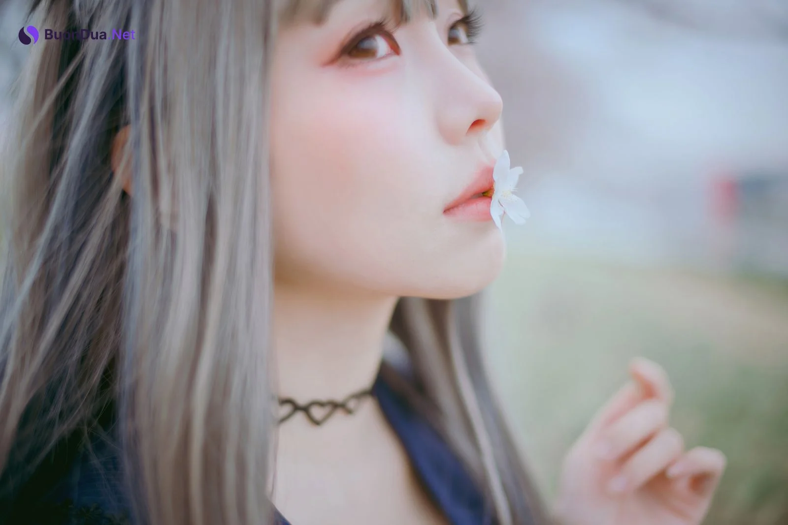 [Ely] Sakura桜 2021 Nekomimi Ver. - รูปภาพ 16