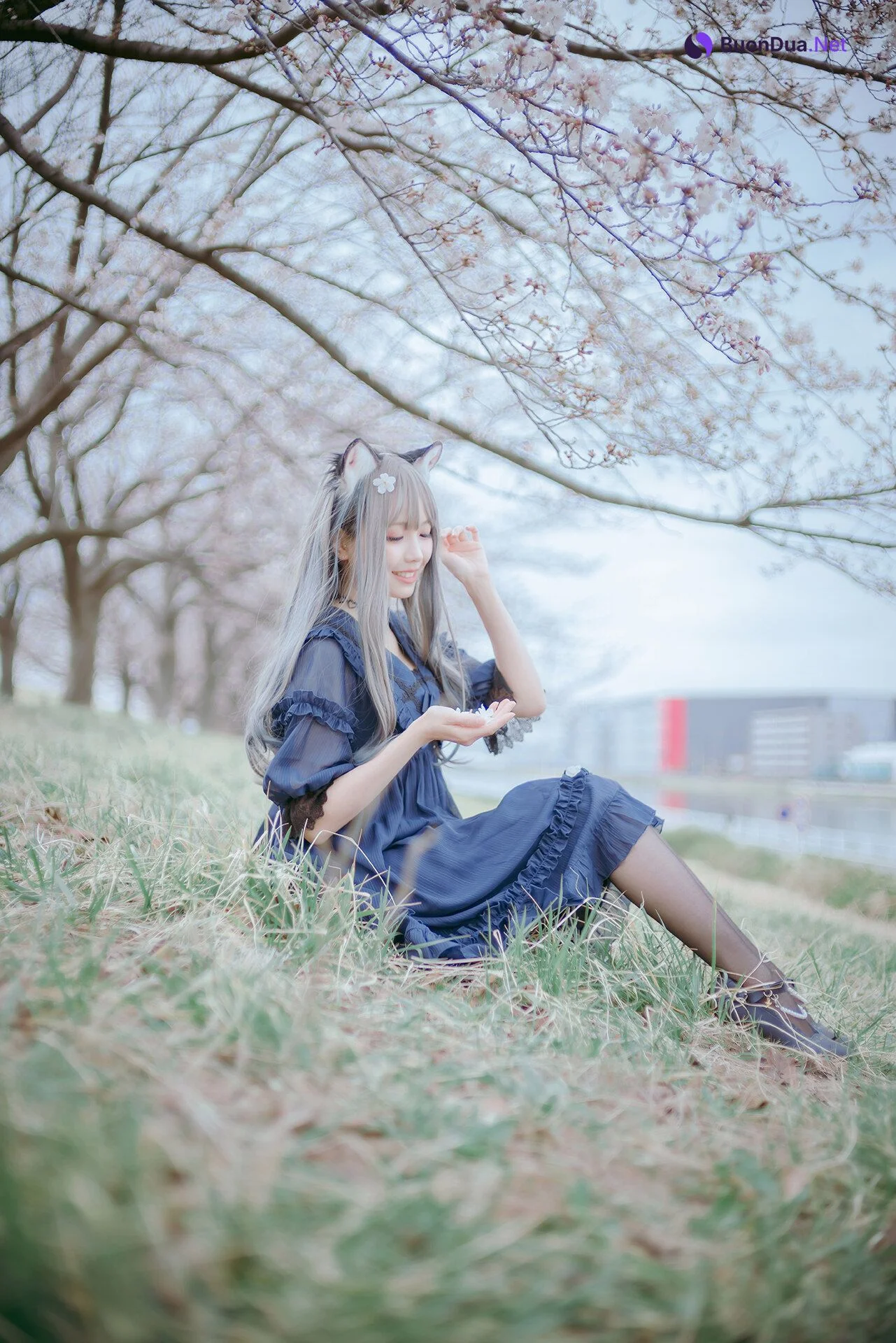 [Ely] Sakura桜 2021 Nekomimi Ver. - รูปภาพ 17