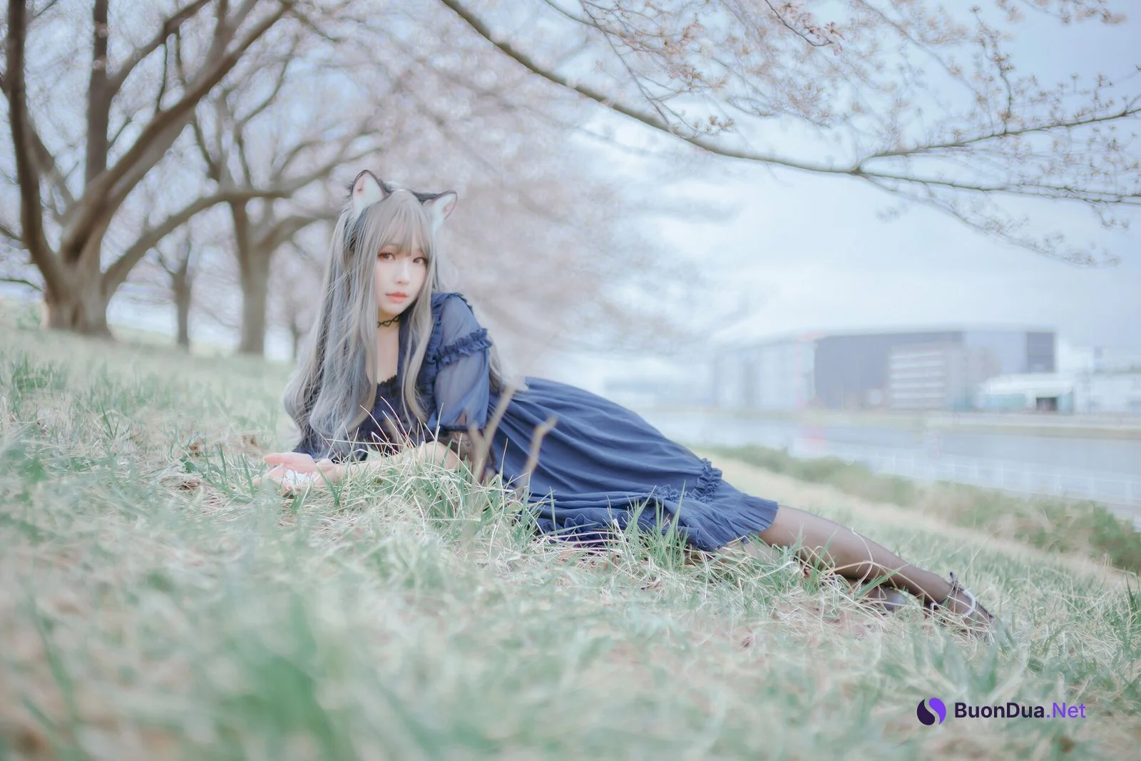 [Ely] Sakura桜 2021 Nekomimi Ver. - รูปภาพ 18