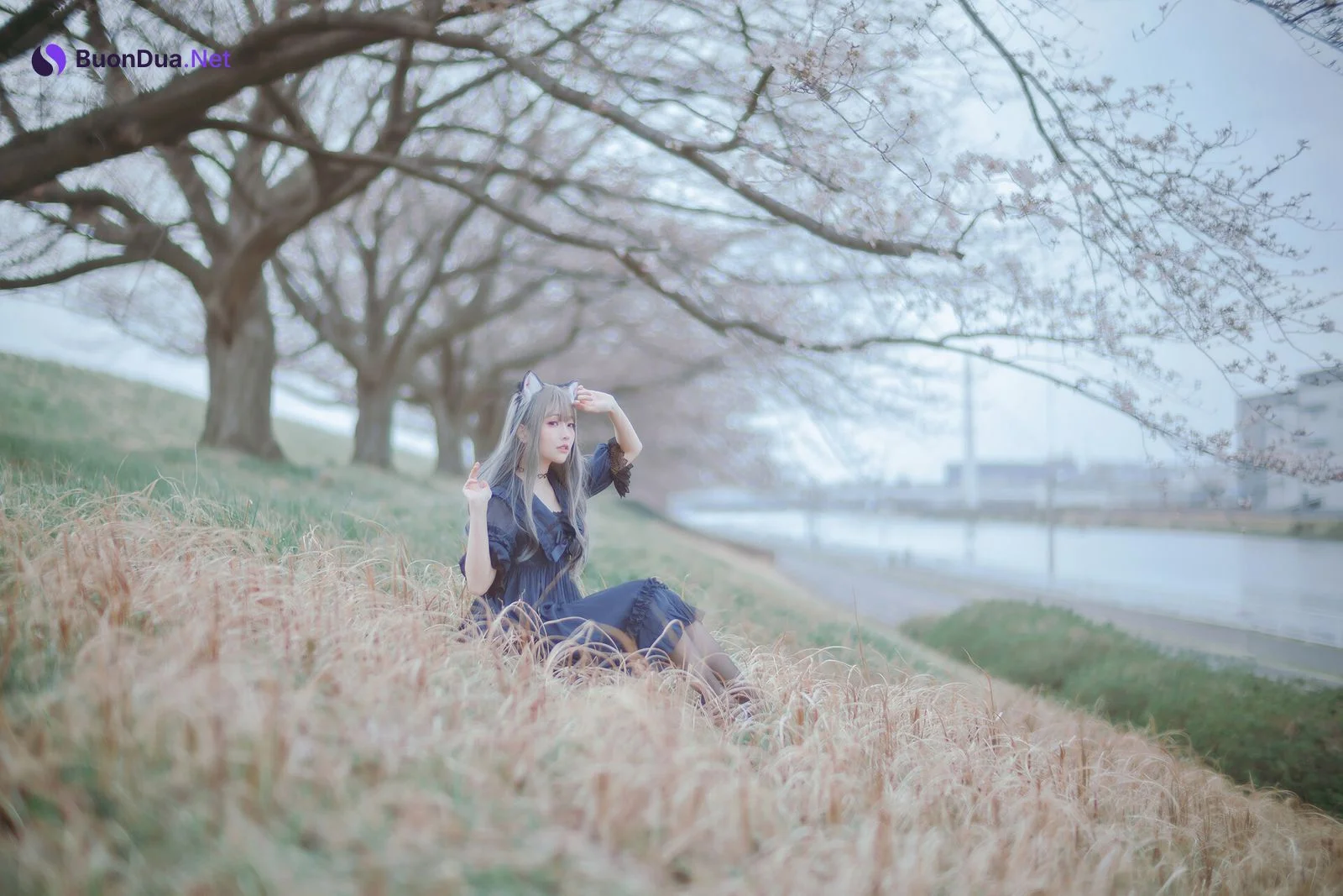 [Ely] Sakura桜 2021 Nekomimi Ver. - รูปภาพ 2
