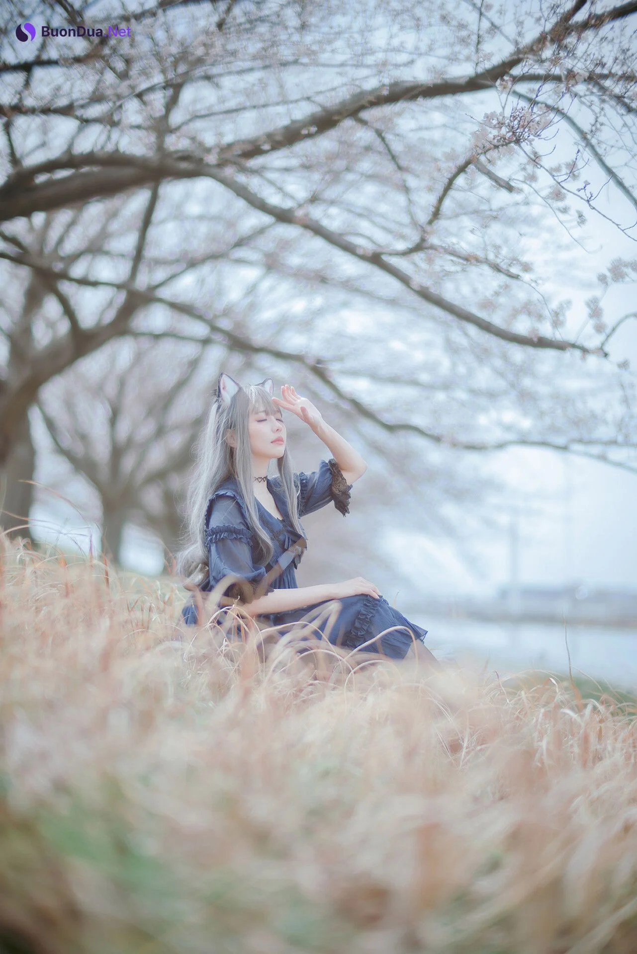 [Ely] Sakura桜 2021 Nekomimi Ver. - รูปภาพ 3
