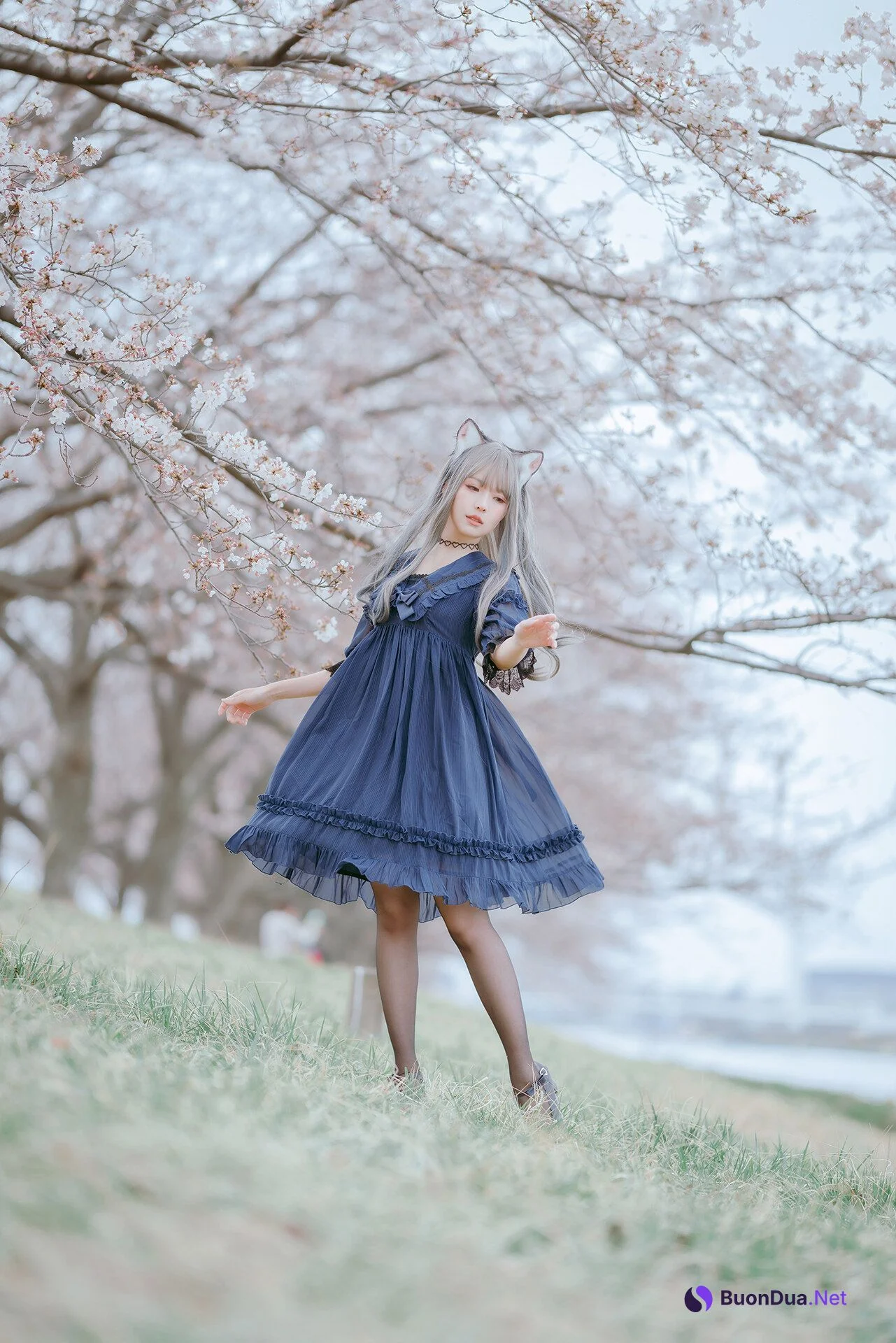 [Ely] Sakura桜 2021 Nekomimi Ver. - รูปภาพ 5