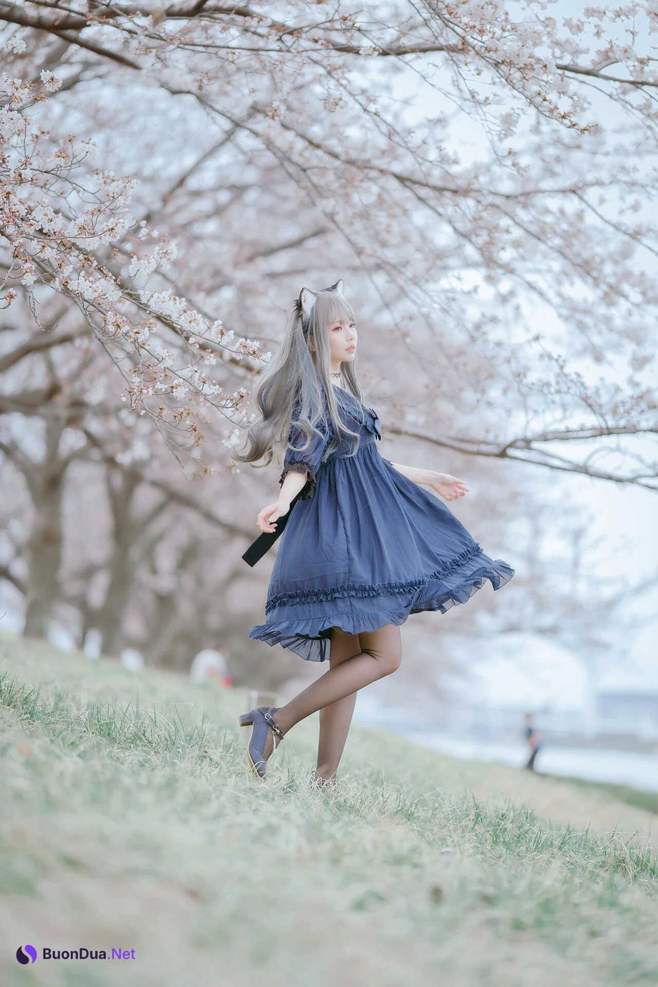 [Ely] Sakura桜 2021 Nekomimi Ver. - รูปภาพ 6