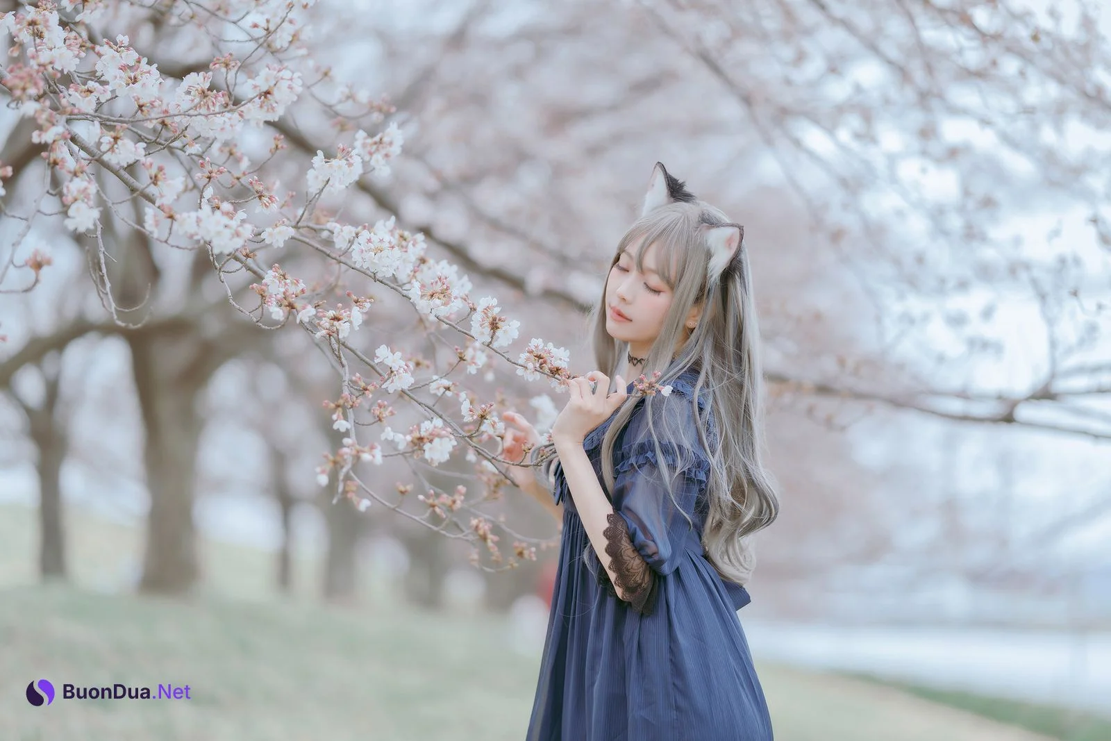 [Ely] Sakura桜 2021 Nekomimi Ver. - รูปภาพ 7