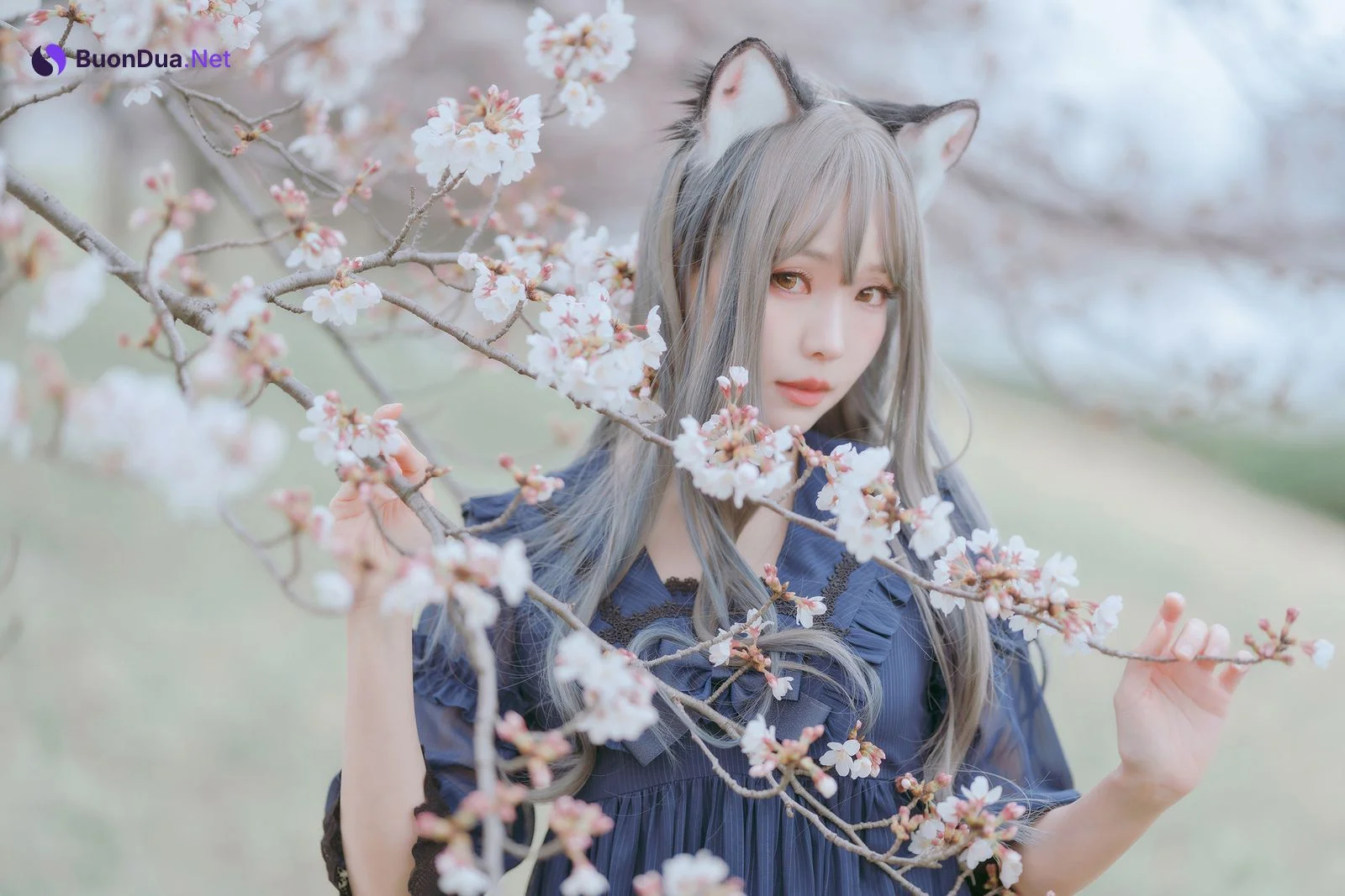 [Ely] Sakura桜 2021 Nekomimi Ver. - รูปภาพ 8
