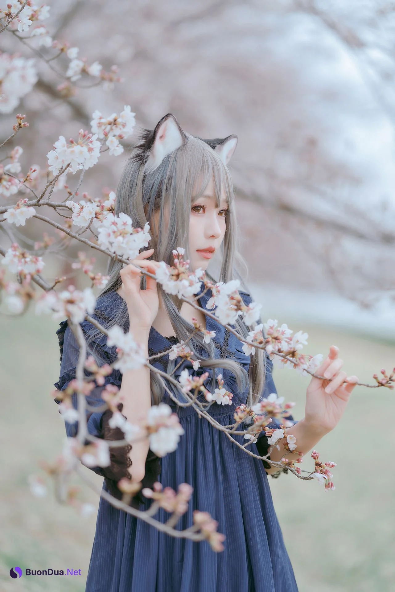 [Ely] Sakura桜 2021 Nekomimi Ver. - รูปภาพ 9