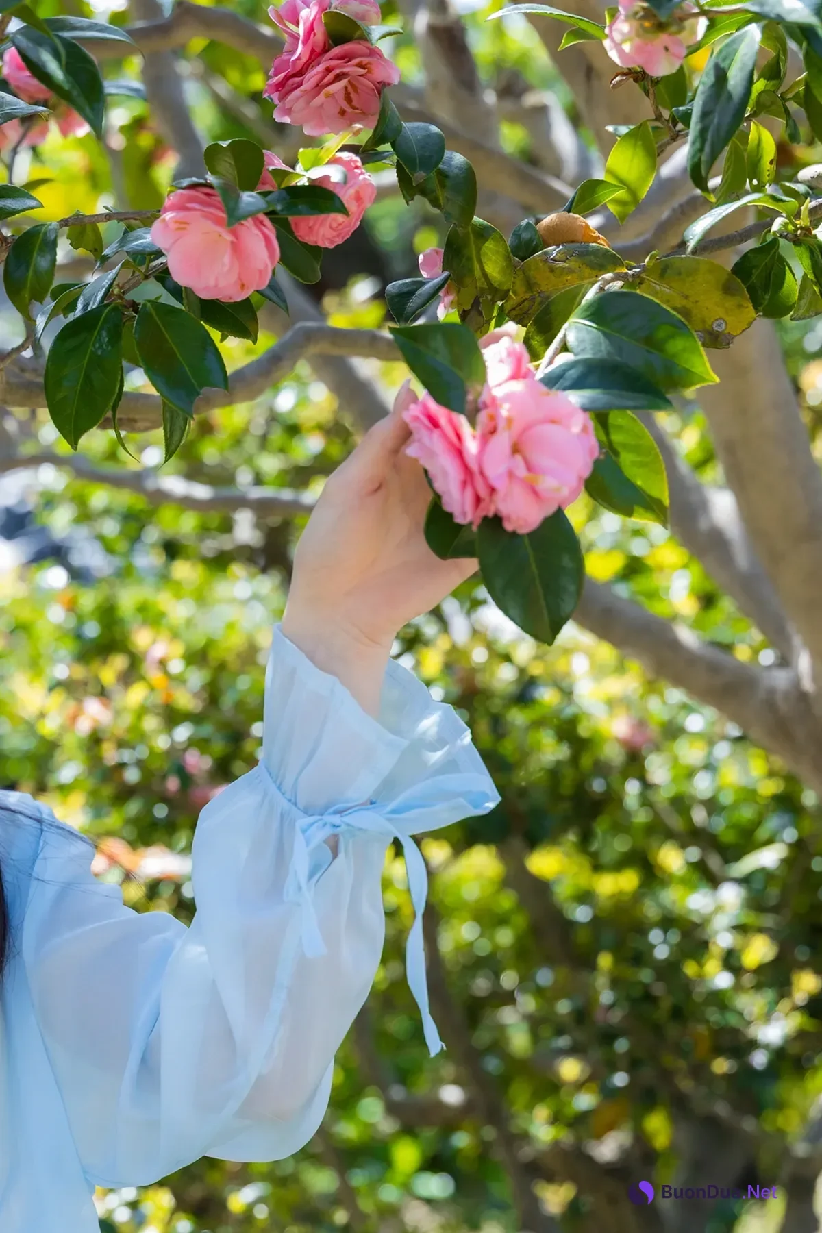 Emika Shirakami 白上咲花, ヌード写真集 「百花繚乱」 - Photo 10