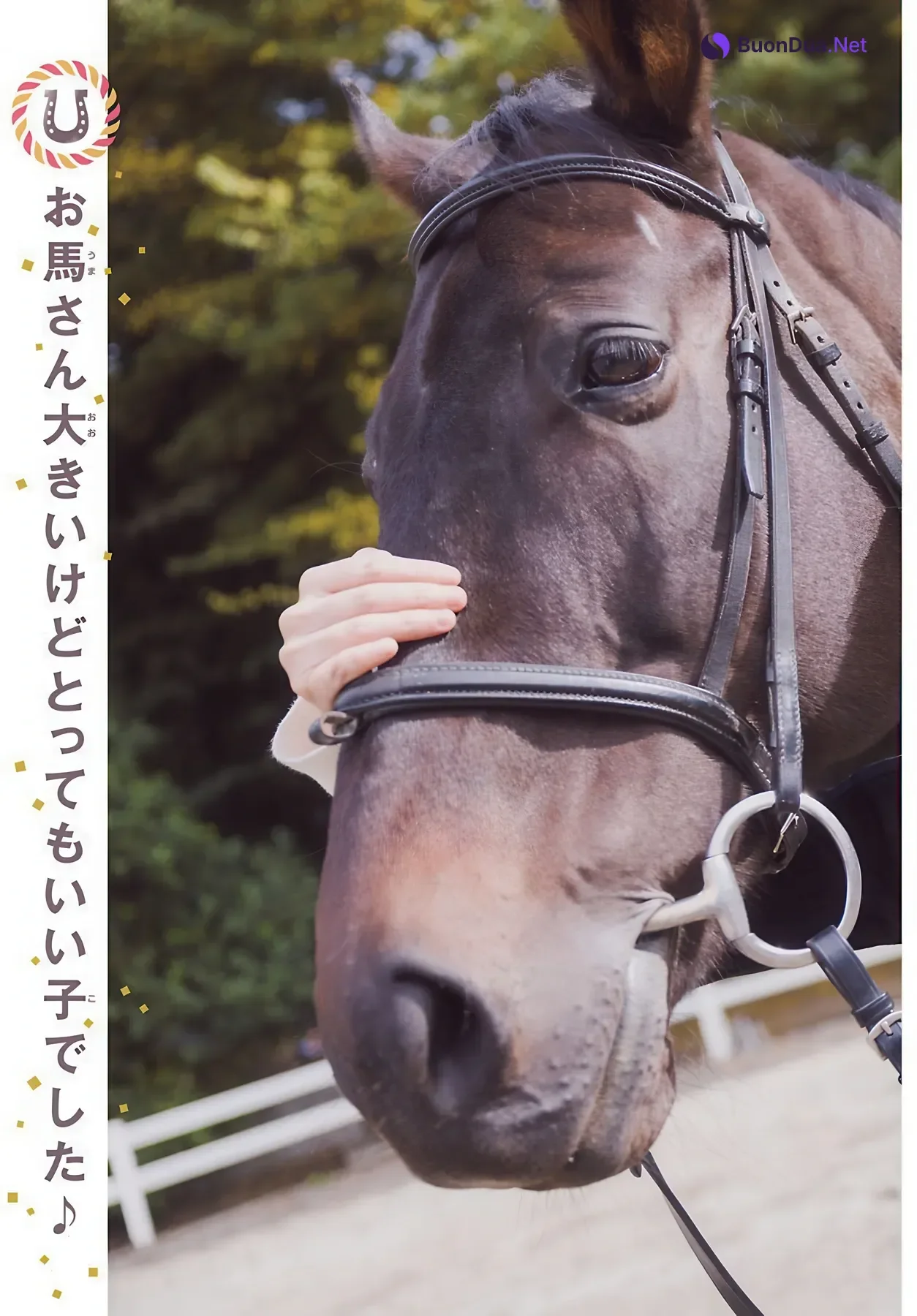 Enako えなこ, Shonen Champion 2026 No.04-05 (少年チャンピオン 2026年4-5号) - Photo 5