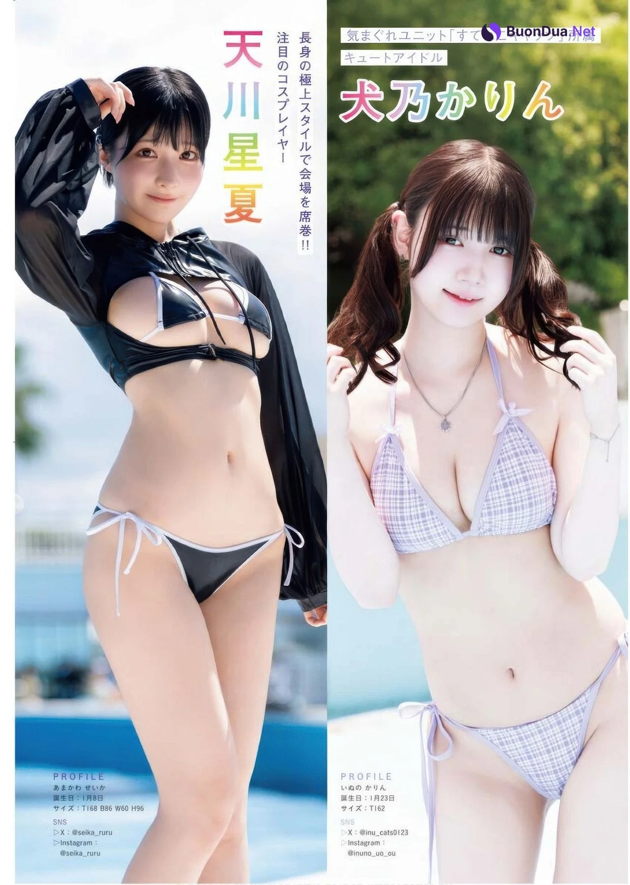 Enako えなこ, Umi Shinonome 東雲うみ, Ami Minami 南あみ, Young King 2025 No.17 (ヤングキング 2025年17号) - 照片 12