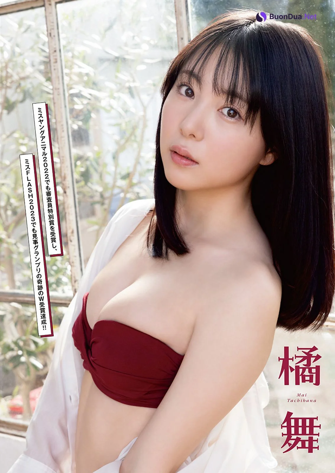 ミスFLASH 2023, Young Animal 2023 No.04 (ヤングアニマル 2023年4号) - Photo 2