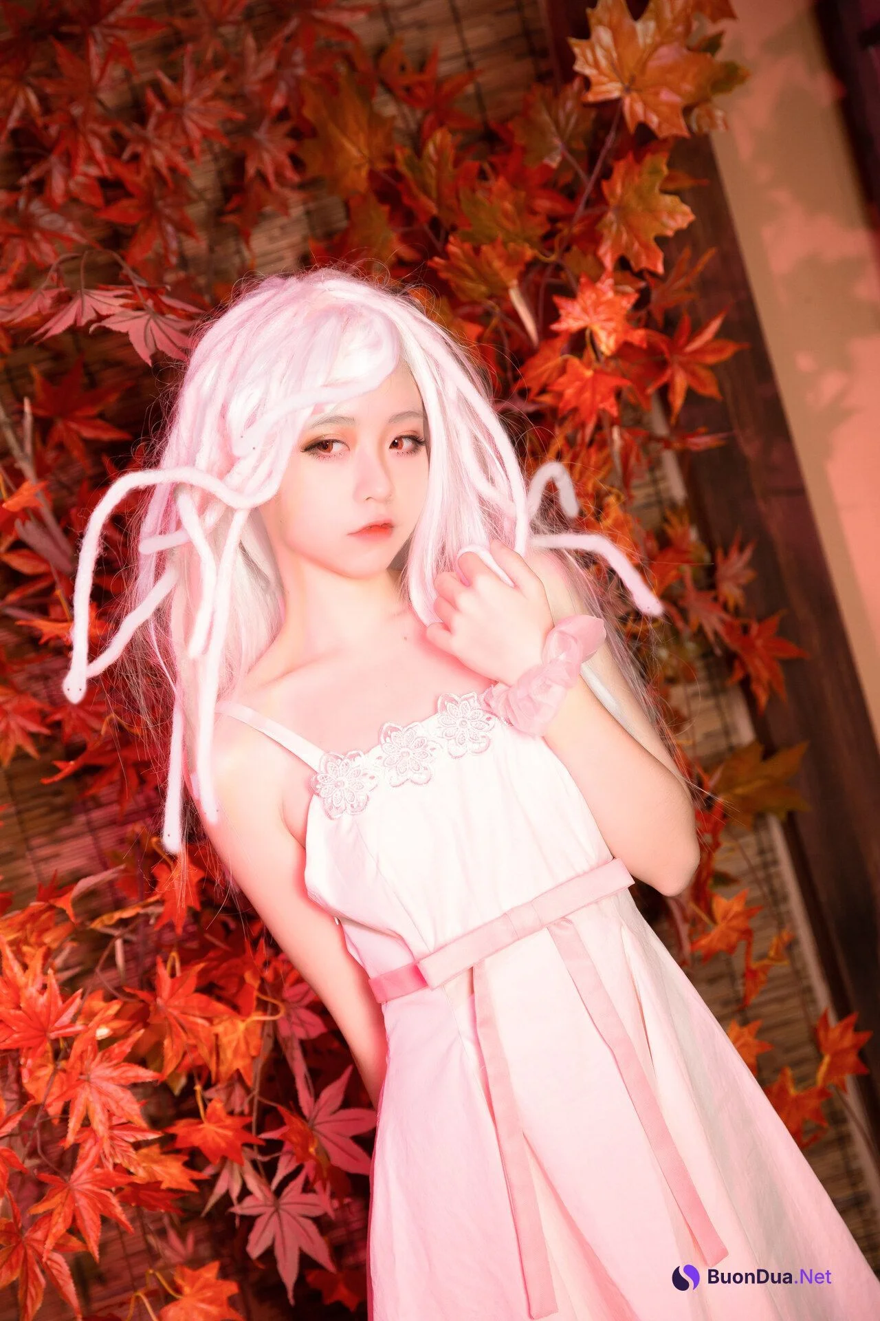 [G44不會受傷] NO.016 抚子蛇神 Nadeko Sengoku - Photo 15