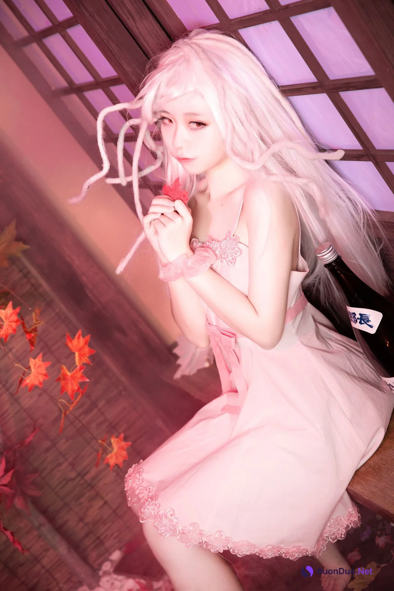 [G44不會受傷] NO.016 抚子蛇神 Nadeko Sengoku - Photo 2
