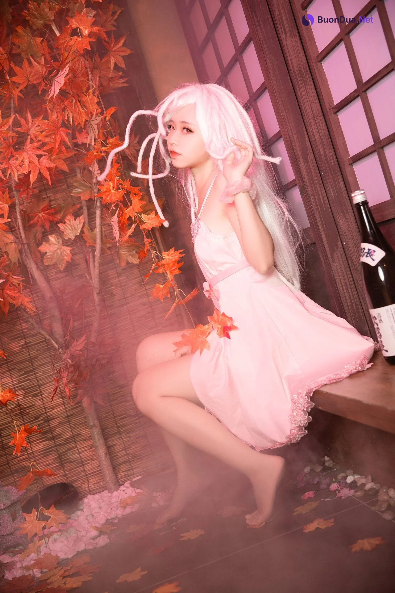 [G44不會受傷] NO.016 抚子蛇神 Nadeko Sengoku - Photo 3