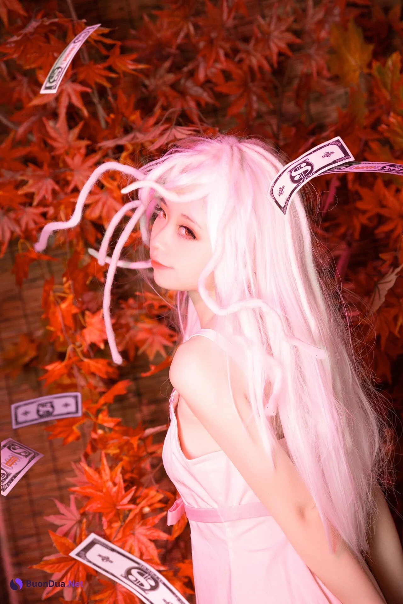 [G44不會受傷] NO.016 抚子蛇神 Nadeko Sengoku - Photo 7