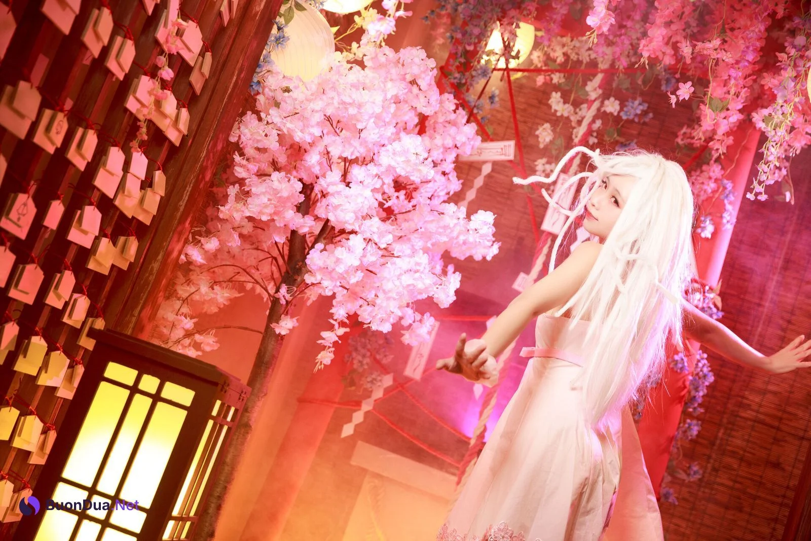 [G44不會受傷] NO.016 抚子蛇神 Nadeko Sengoku - Photo 9