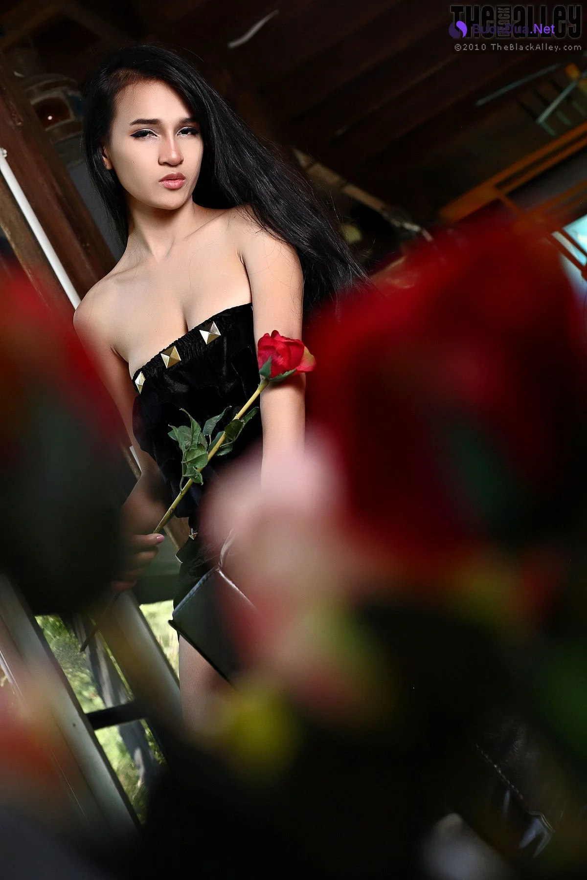 Ginny The Black Alley Photobook Set.12 - Photo 12
