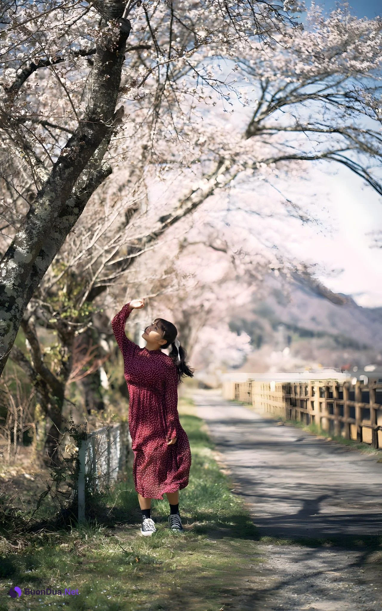 Hana Himesaki 姫咲はな, スパイスビジュアル 写真集 『教え子はエス。』 Set.01 - 写真 4