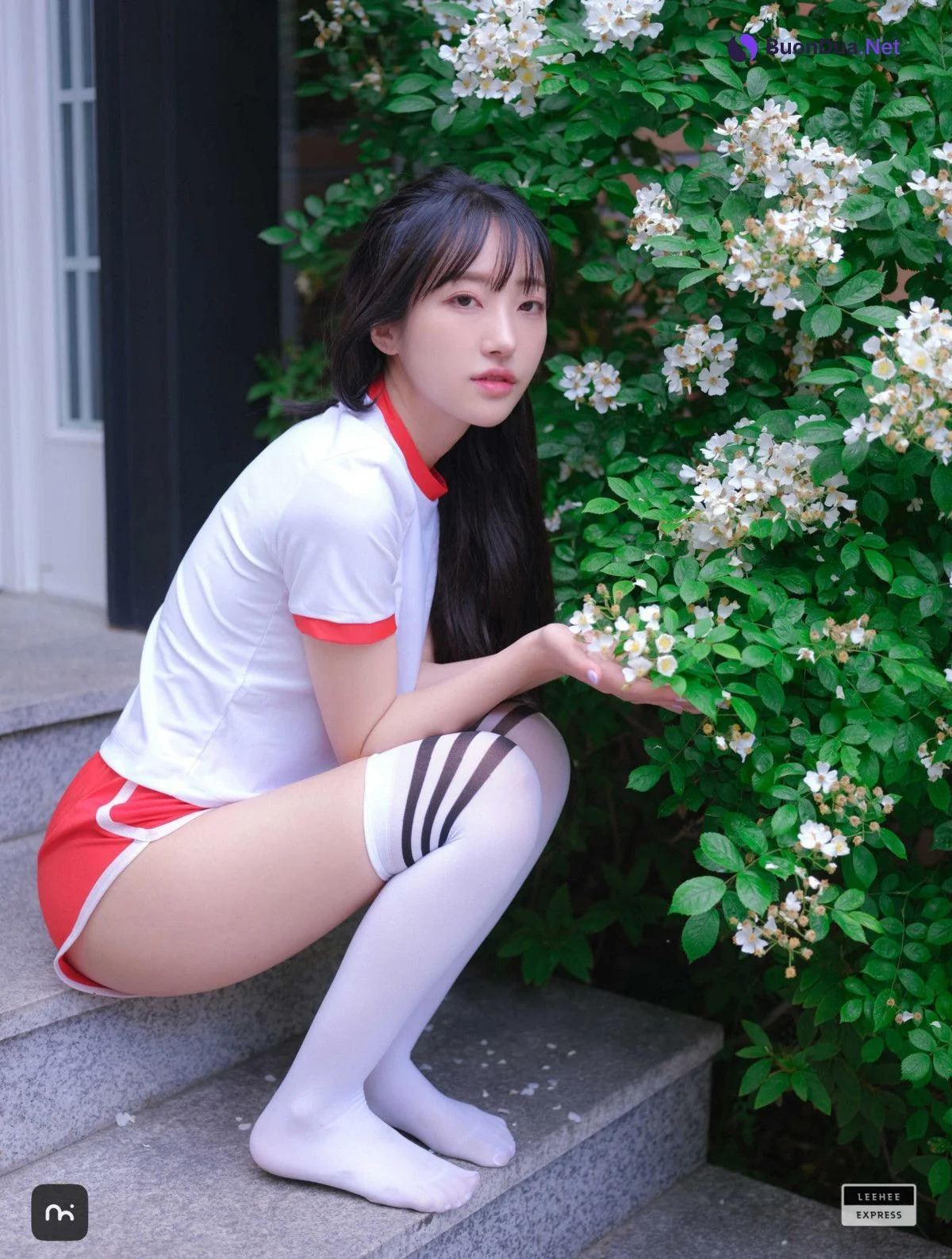 HaNari 하나리, LEEHEE EXPRESS LEBE-216A Set.01 - Photo 15