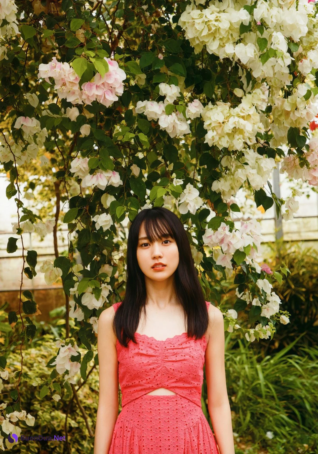 Haruka Kaki 賀喜遥香, 1st写真集 [まっさら] Set.02 - Photo 3