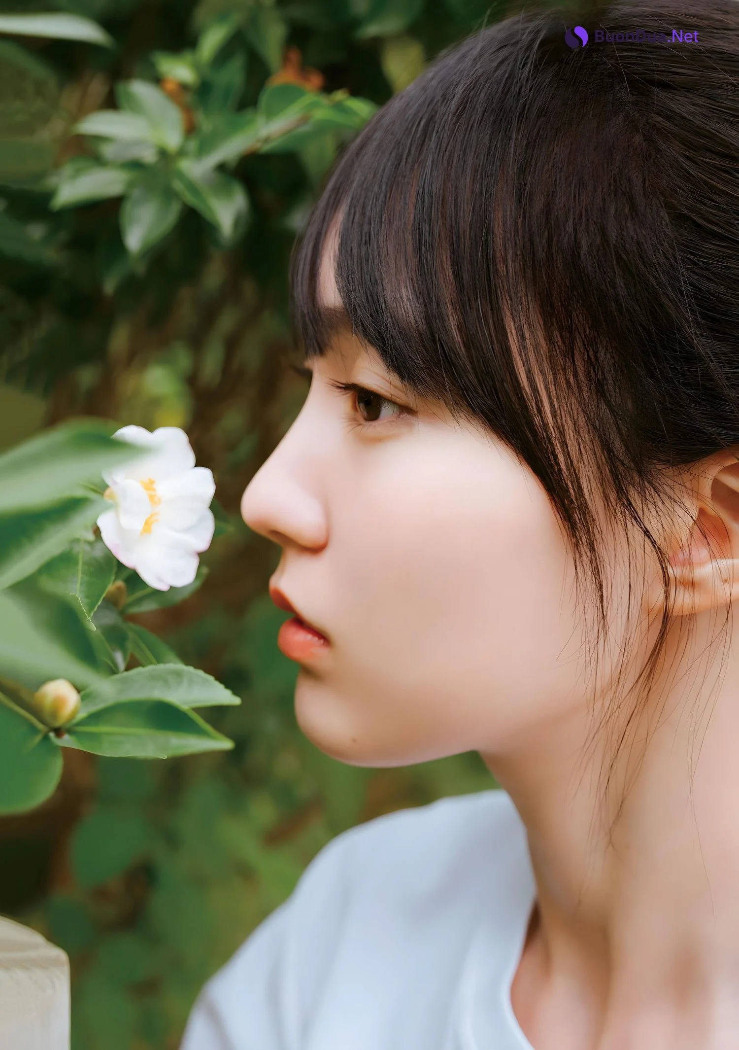 Haruka Kaki 賀喜遥香, Young Magazine 2024 No.03 (ヤングマガジン 2024年3号) - Photo 7