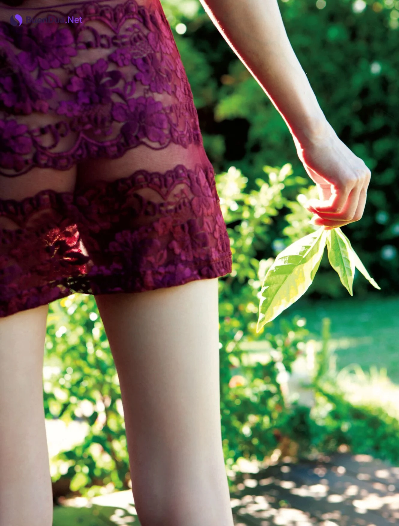 Haruka Nishimoto 西本はるか, 写真集 「SHAPE」 Set.01 - รูปภาพ 3