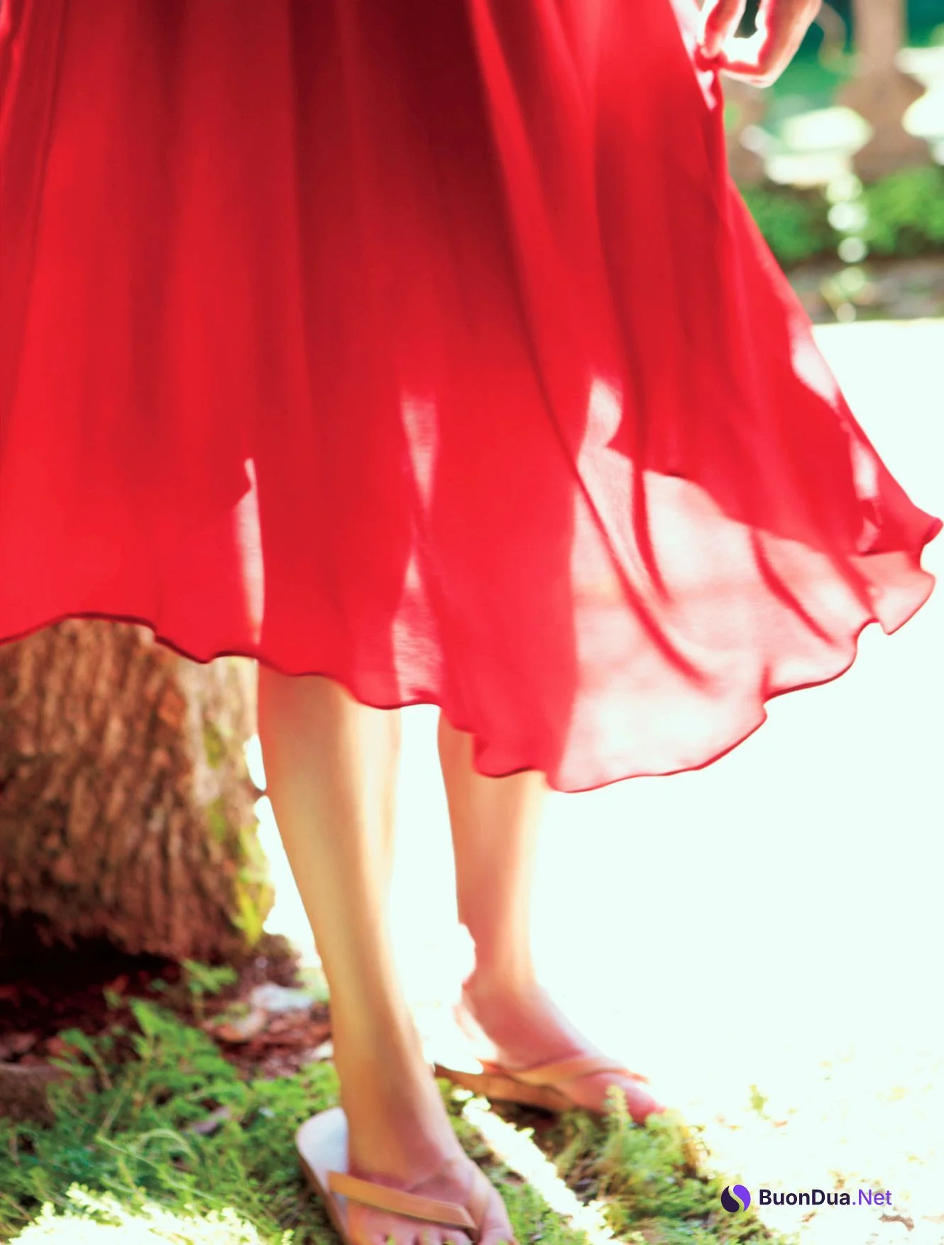 Haruka Nishimoto 西本はるか, 写真集 「SHAPE」 Set.02 - Photo 5