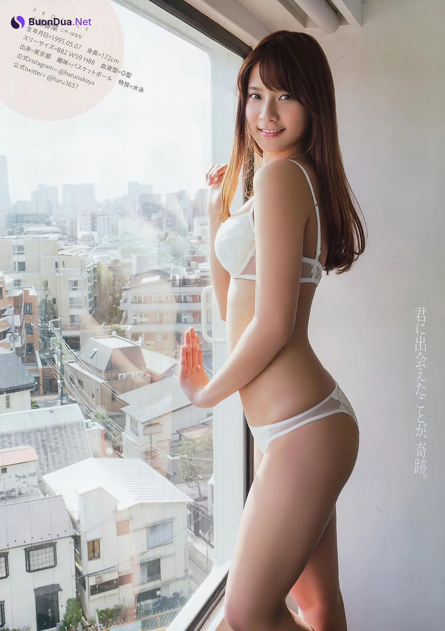Haruna Koya 小屋春菜, Young Animal 2017 No.04 (ヤングアニマル 2017年4号) - Photo 9