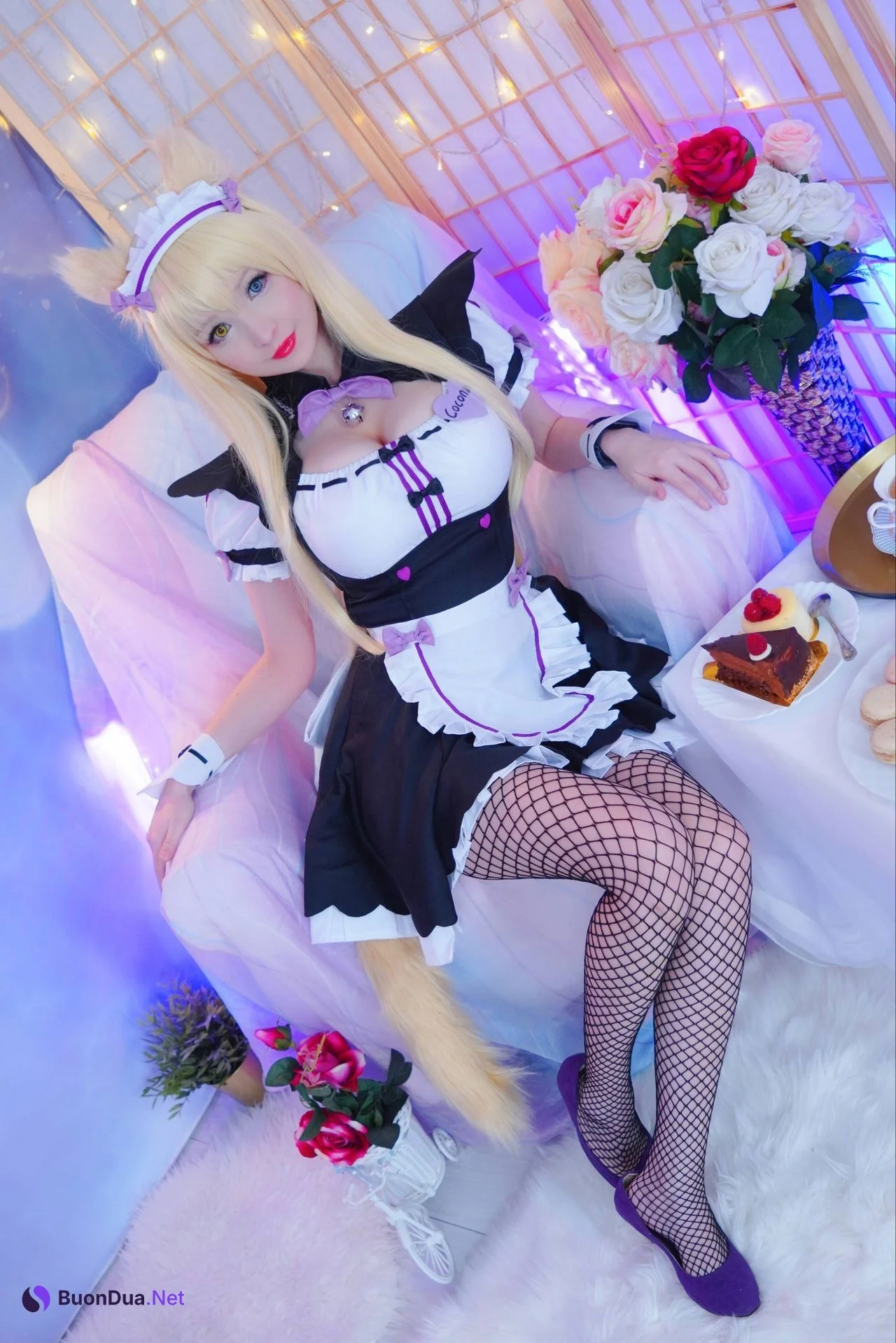 [Hidori Rose] Coconut ココナツ (Nekopara ネコぱら) - 사진 16