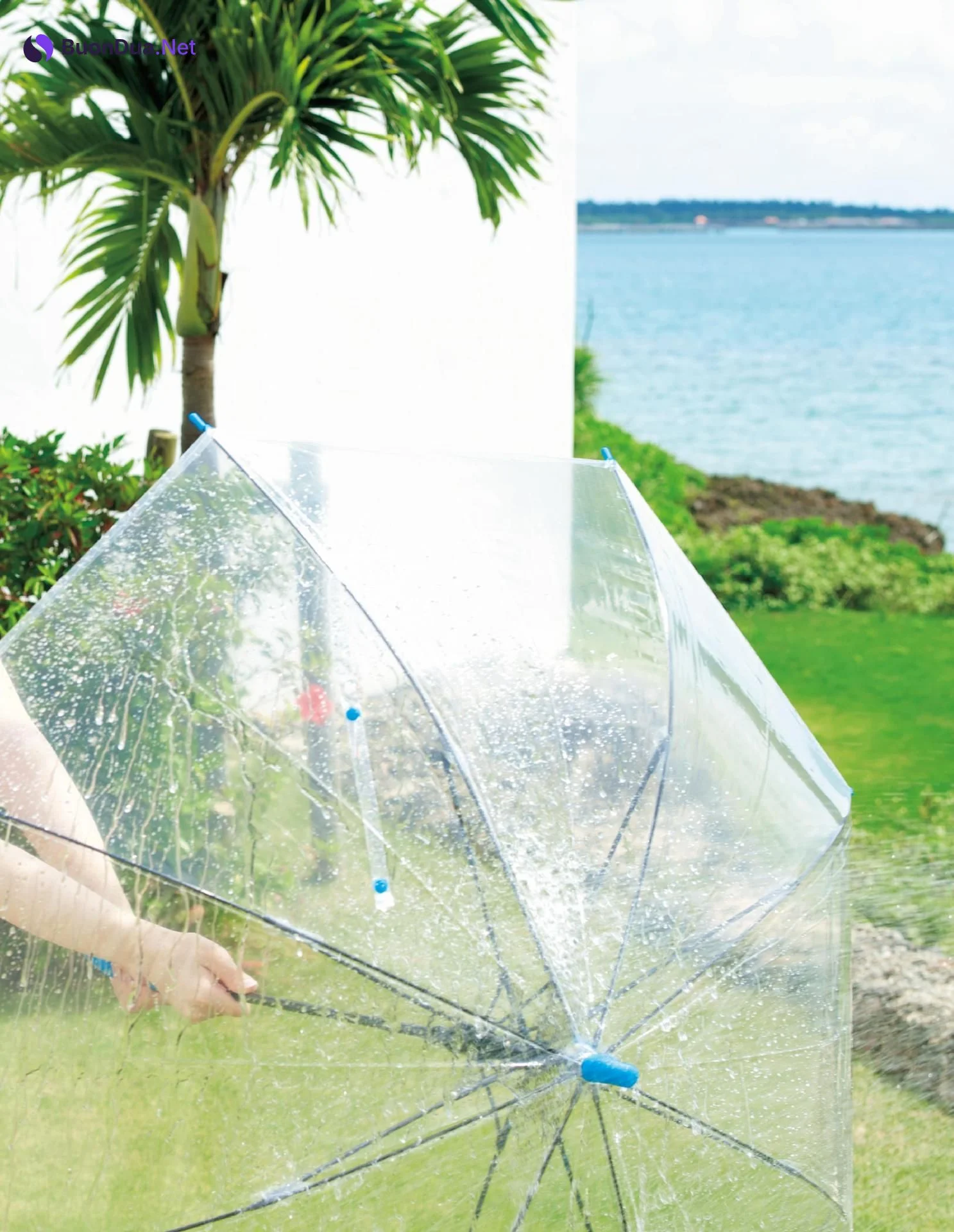Hikari Aozora 青空ひかり, 1st.写真集 [笑顔。ひかる。] Set.03 - รูปภาพ 20