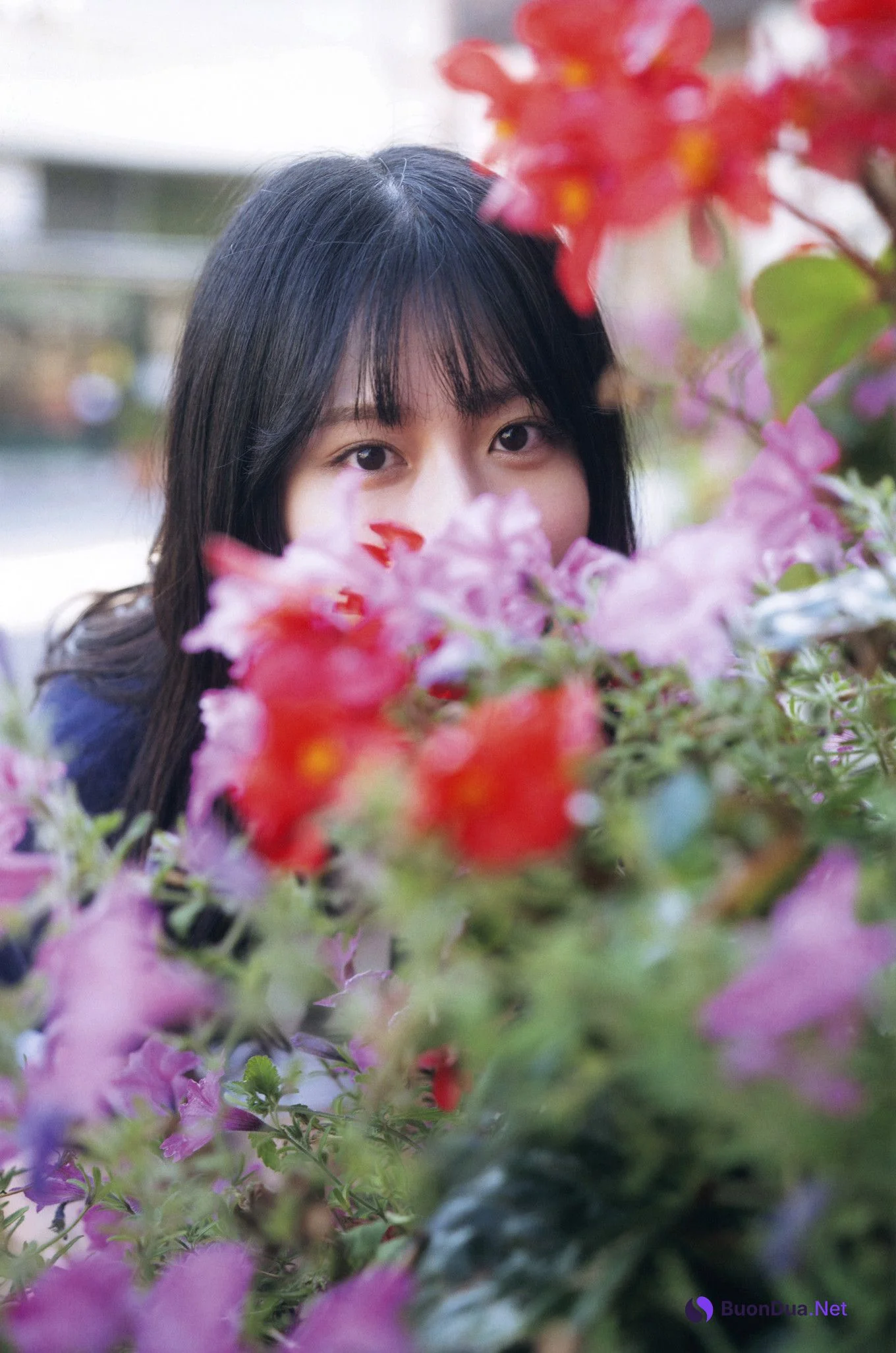 Hikari Kabashima 椛島光, 1st写真集 『chouchou』 Set.03 - Photo 2