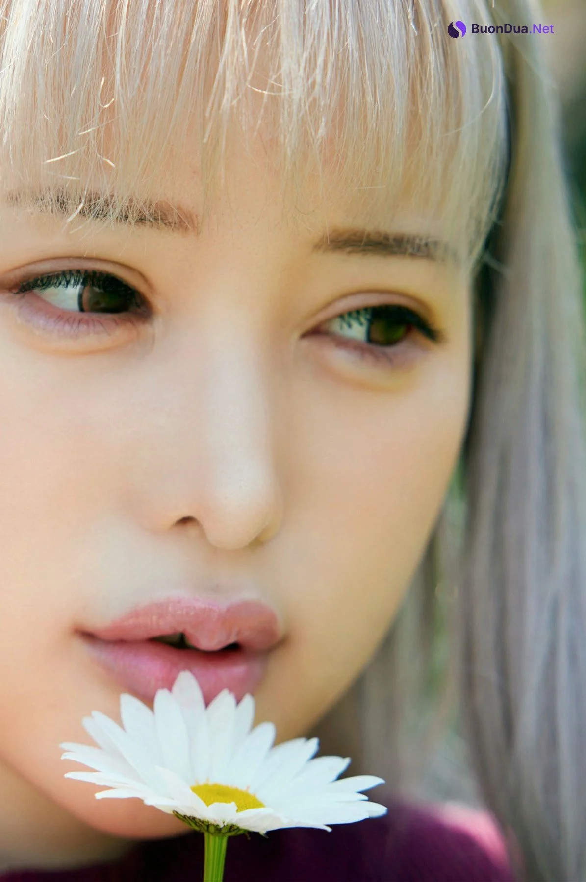 Hime Shirayuki 白雪ひめ, ヌード写真集 [白肌の女王] Set.05 - Photo 7