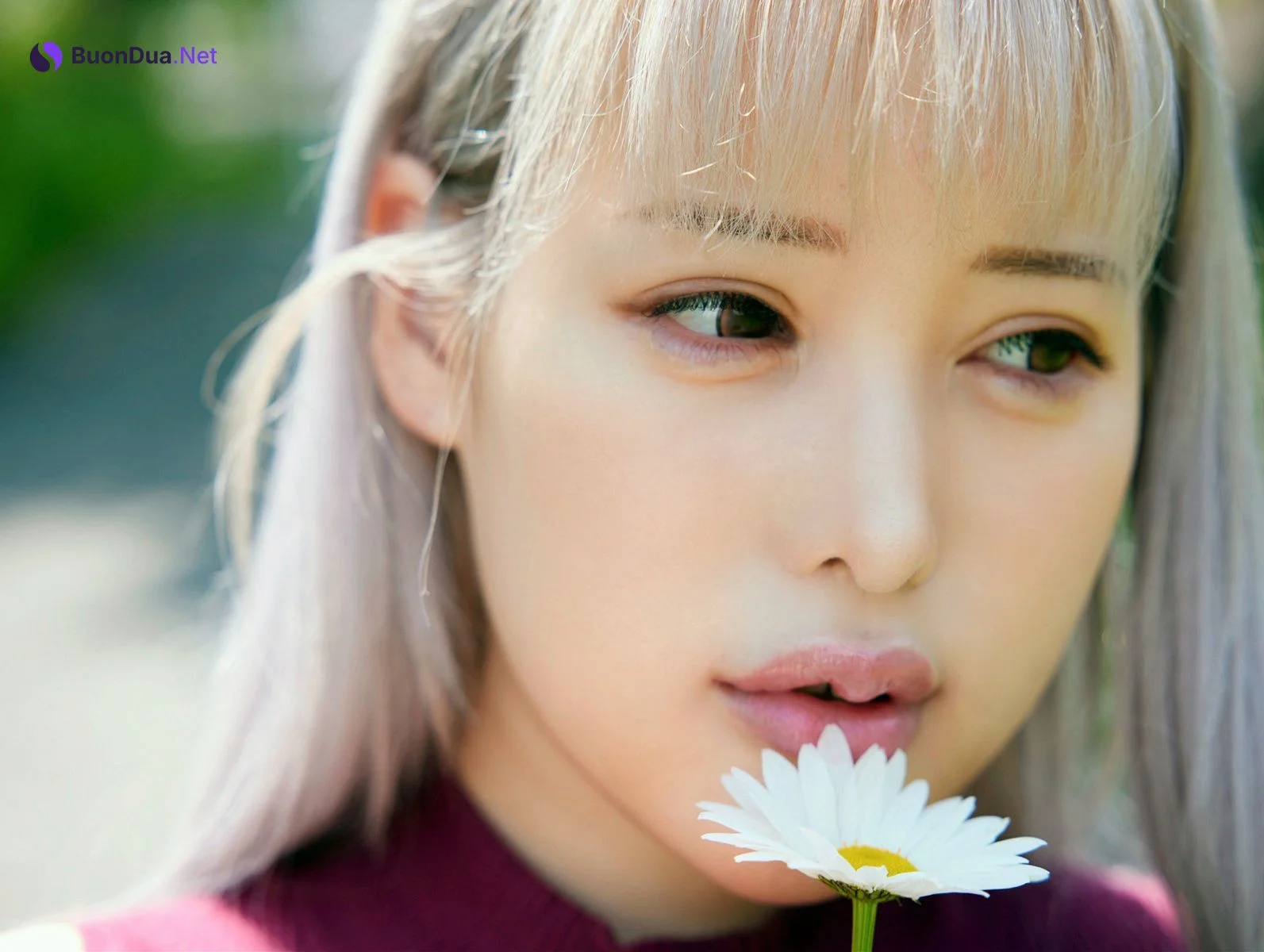 Hime Shirayuki 白雪ひめ, ヌード写真集 [白肌の女王] Set.05 - Photo 8