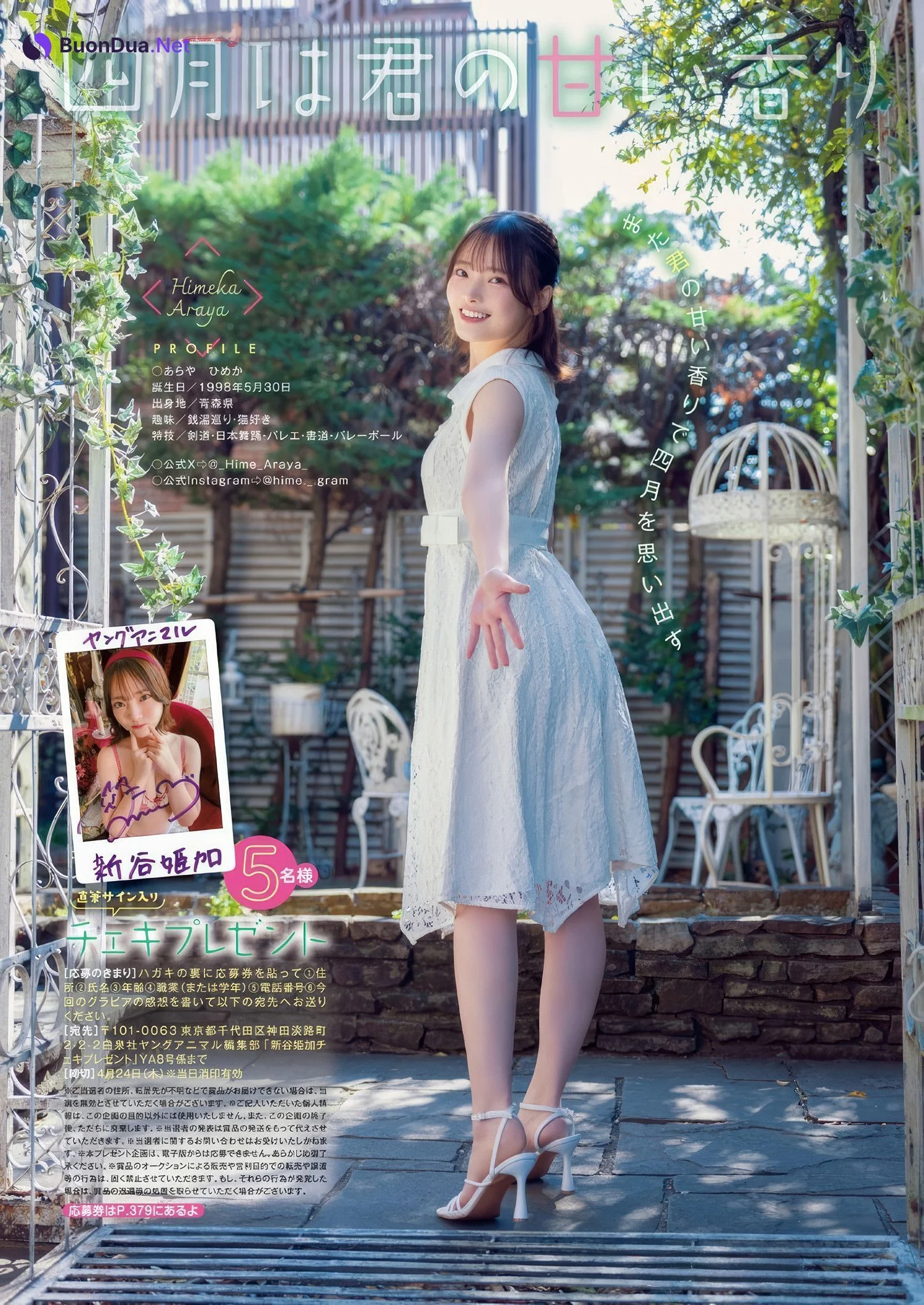 Himeka Araya 新谷姫加, Young Animal 2025 No.18 (ヤングアニマル 2025年18号) - Photo 10